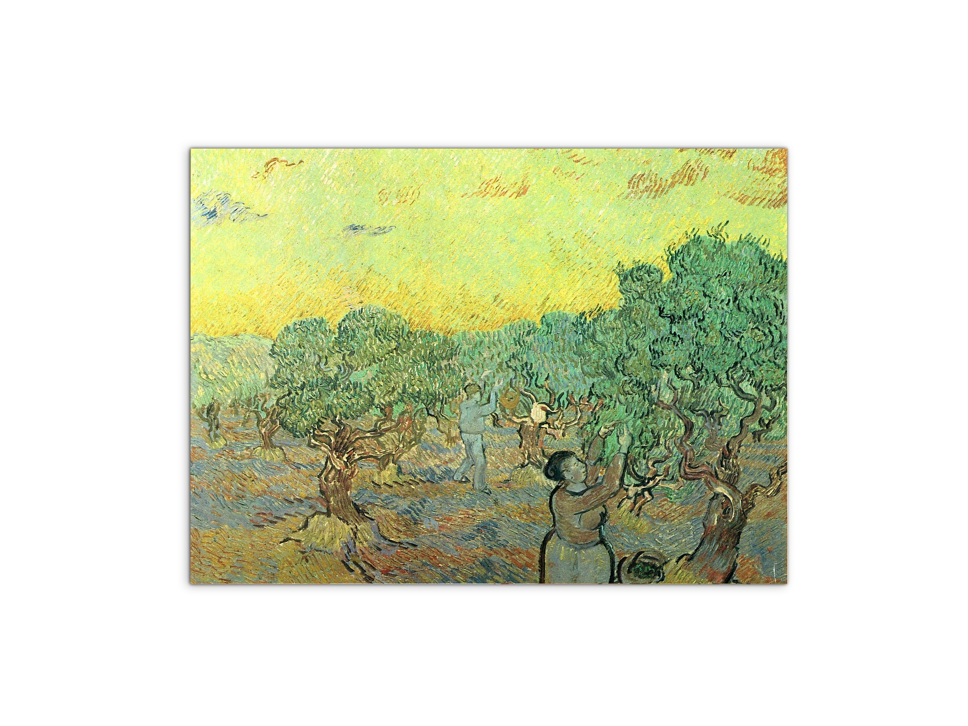 olive-pickers-in-a-groveas91155-#materiale_MetalArt Materic/dimensioni_76x57
