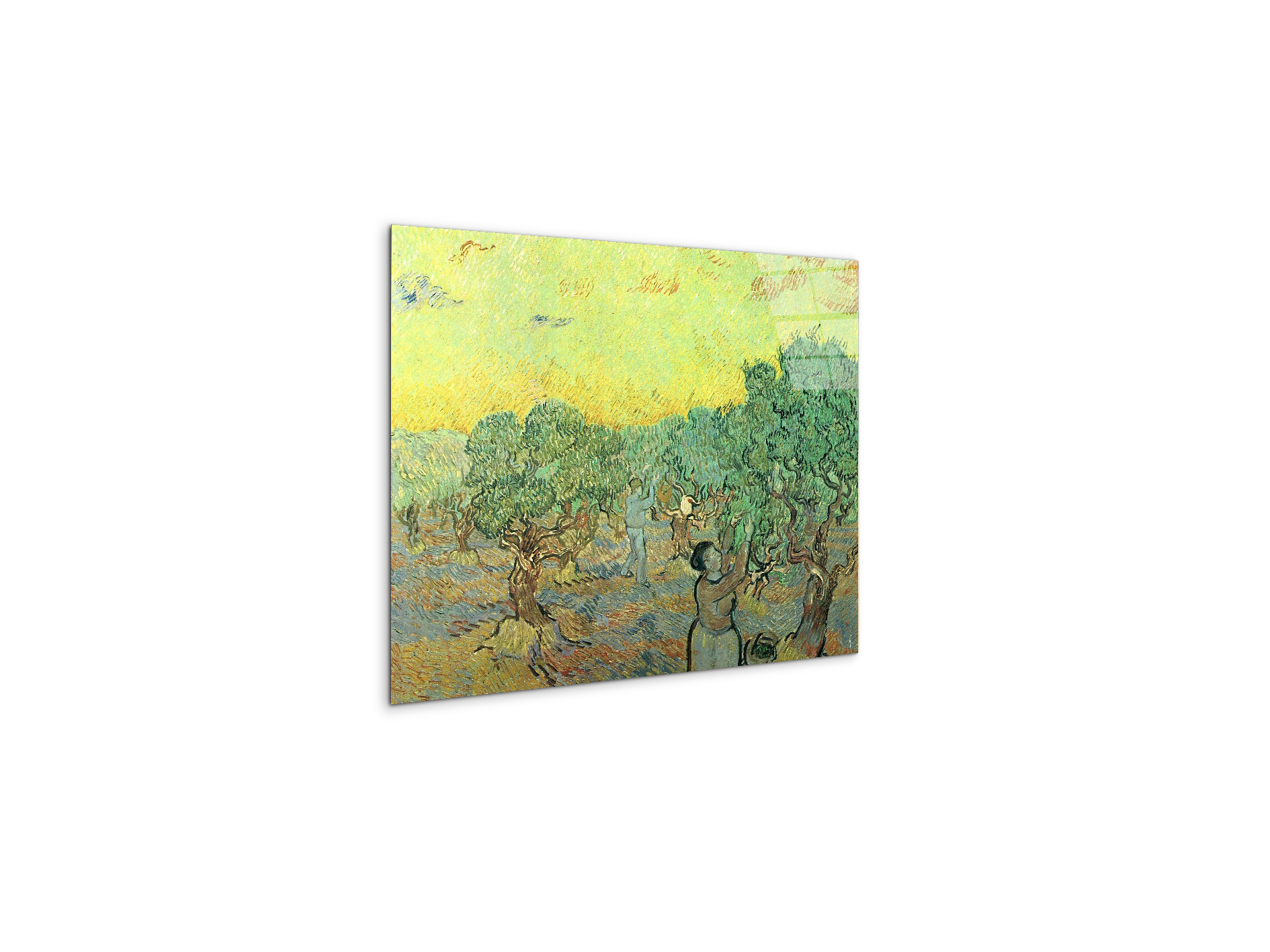 olive-pickers-in-a-groveas91155-#materiale_CrystalArt/dimensioni_50x37,50