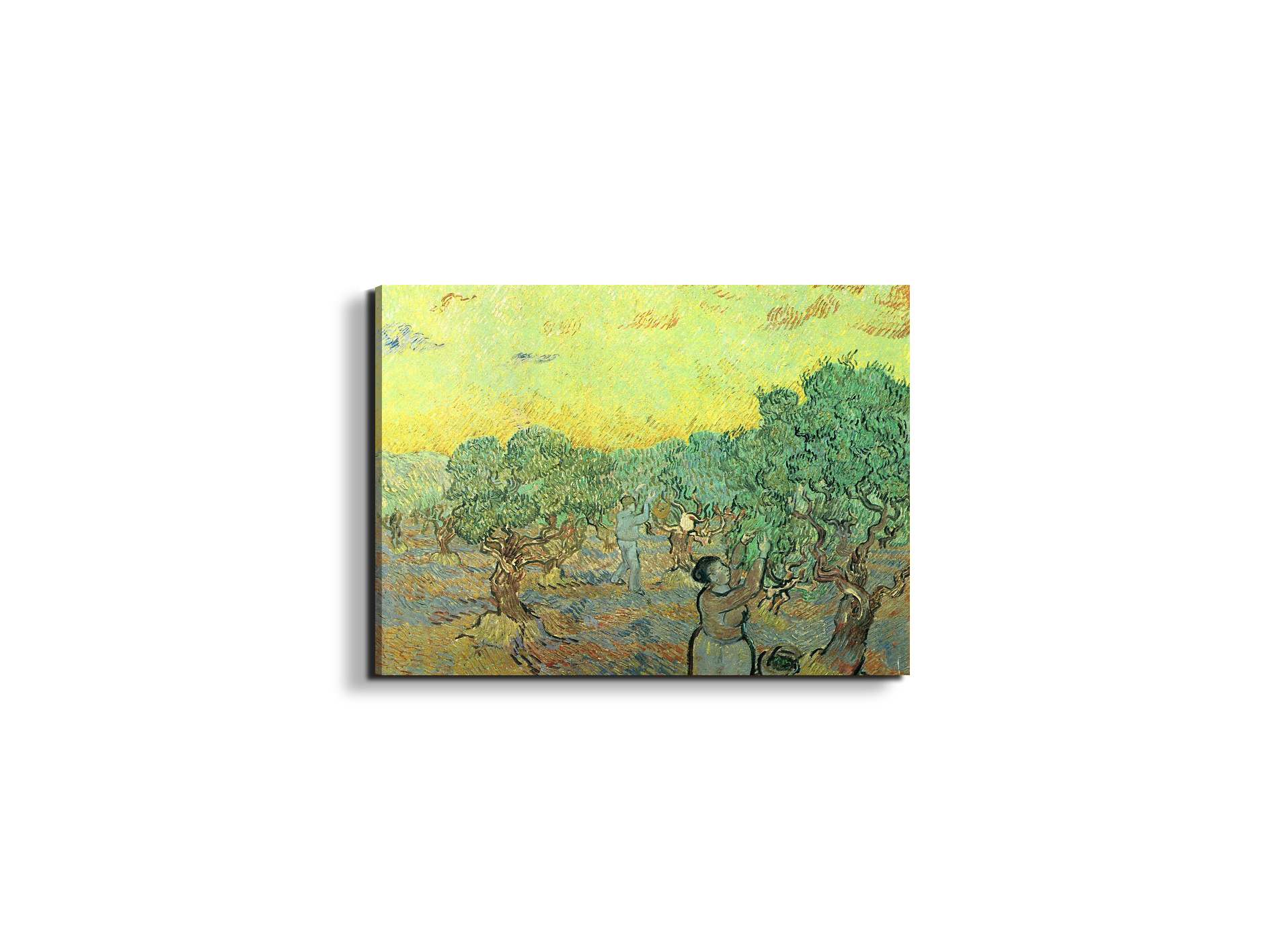 olive-pickers-in-a-groveas91155-#materiale_EarthArt Materic/dimensioni_50x37,50