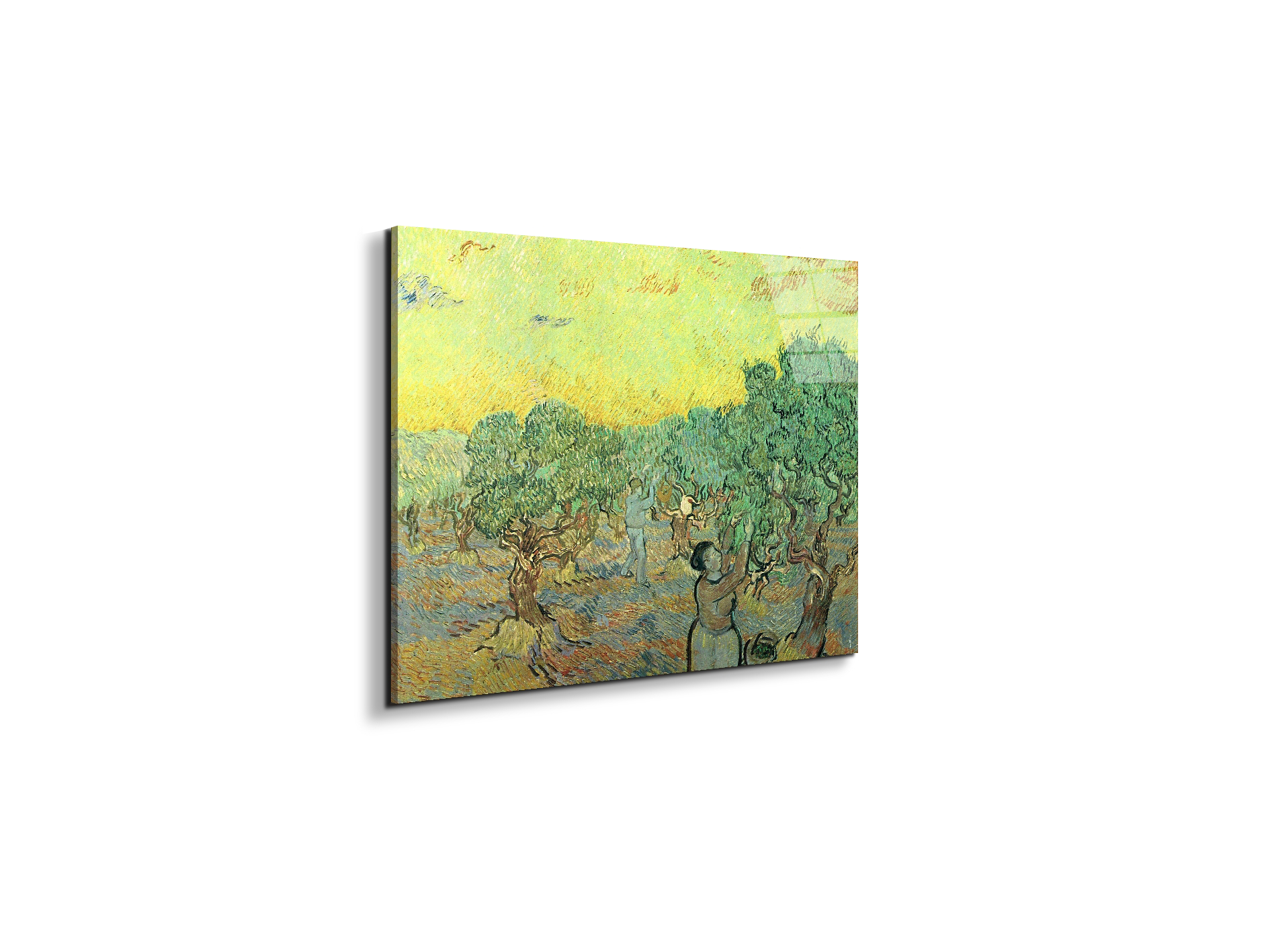 olive-pickers-in-a-groveas91155-#materiale_EarthArt Total Gloss/dimensioni_50x37,50