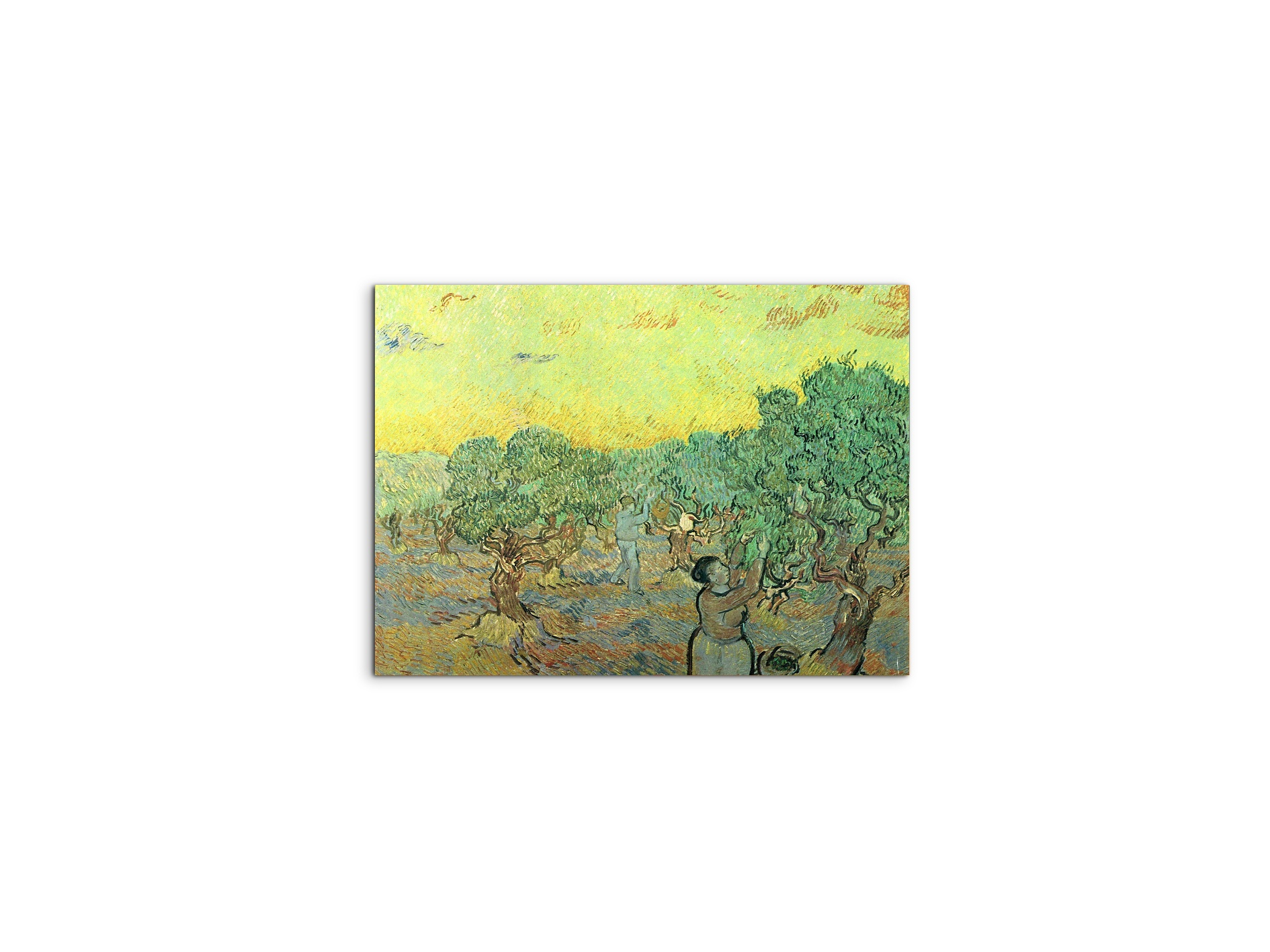 olive-pickers-in-a-groveas91155-#materiale_MetalArt Materic/dimensioni_50x37,50