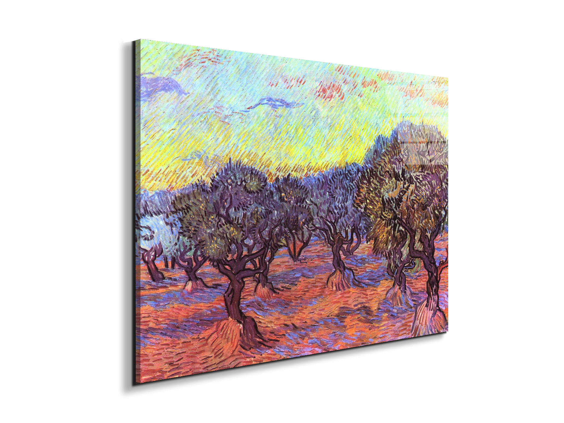 olive-trees-iias91157-#materiale_EarthArt Total Gloss/dimensioni_76x57