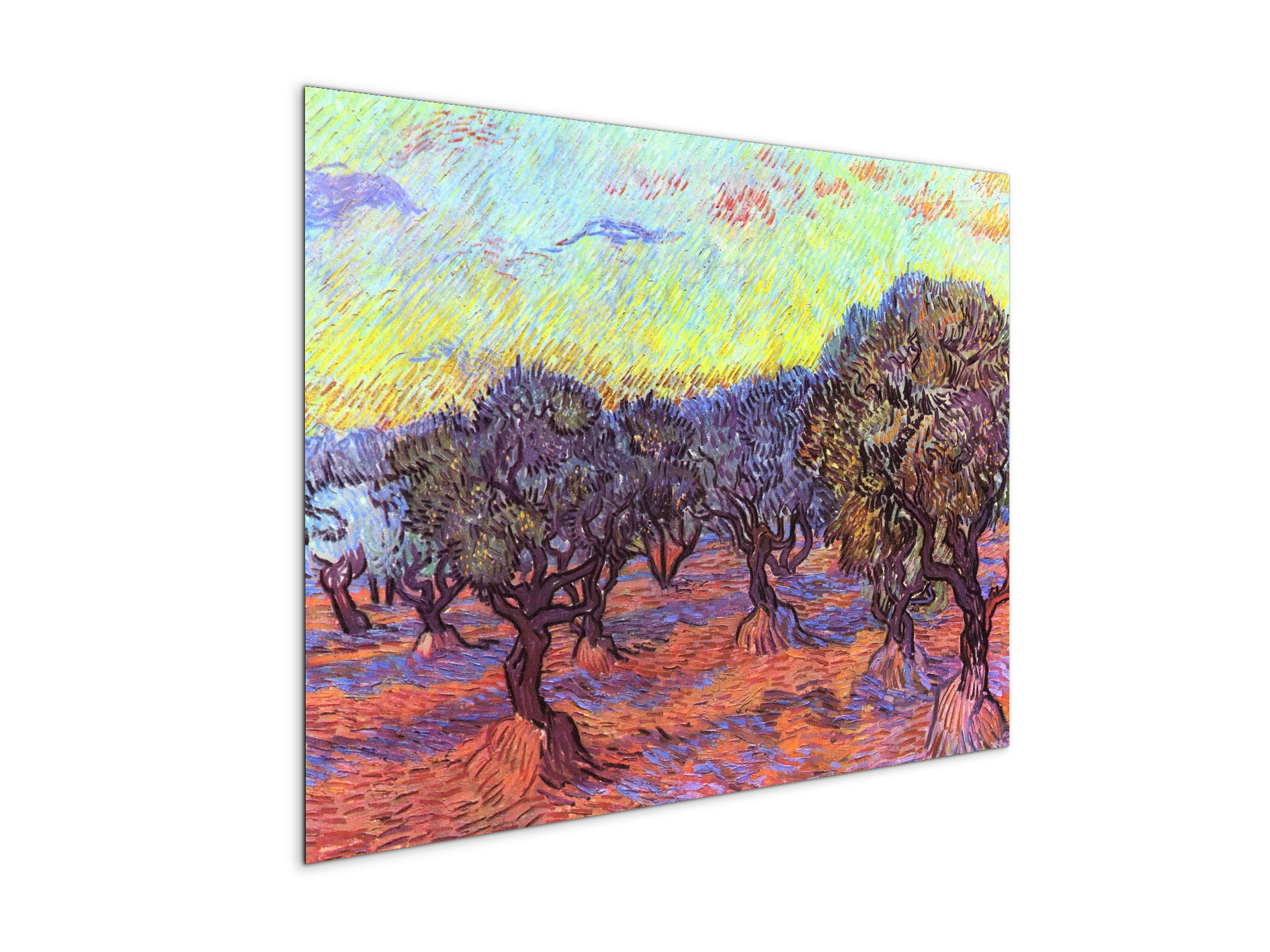olive-trees-iias91157-#materiale_MetalArt Materic/dimensioni_76x57