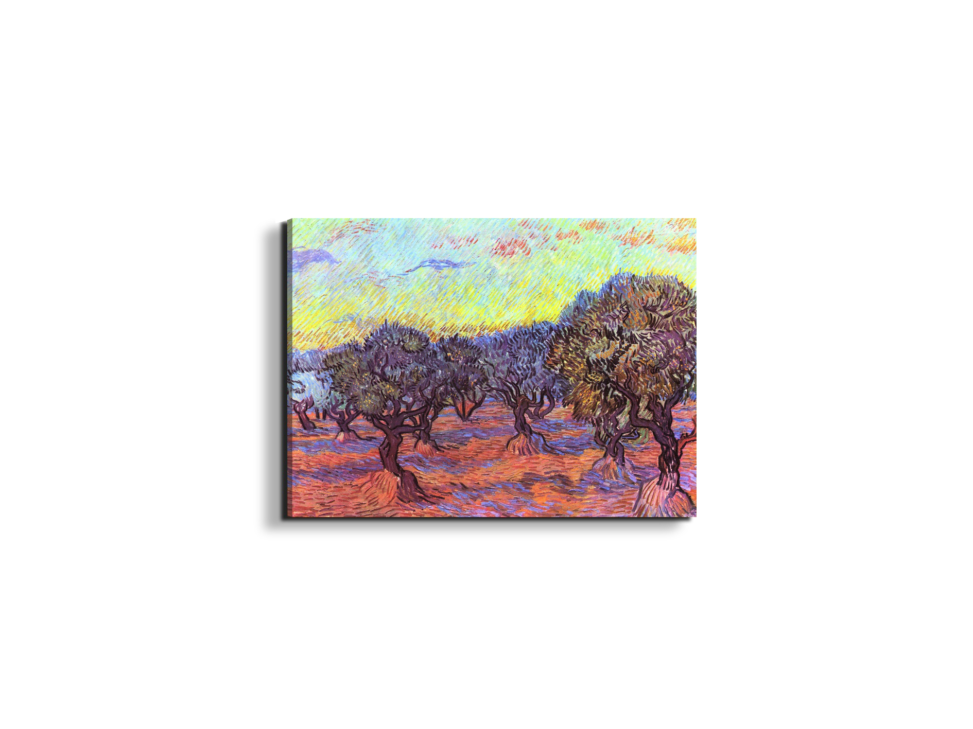 olive-trees-iias91157-#materiale_EarthArt Materic/dimensioni_50x37,50
