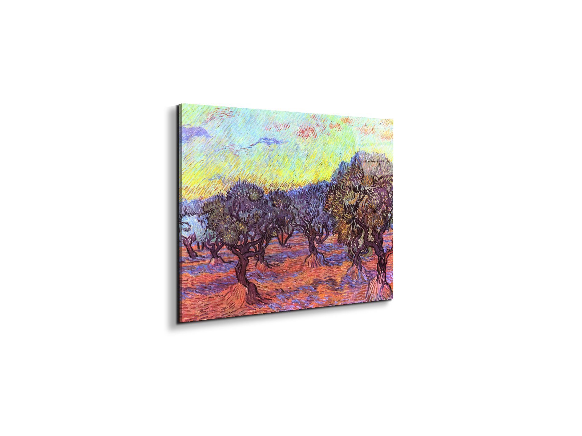 olive-trees-iias91157-#materiale_EarthArt Total Gloss/dimensioni_50x37,50