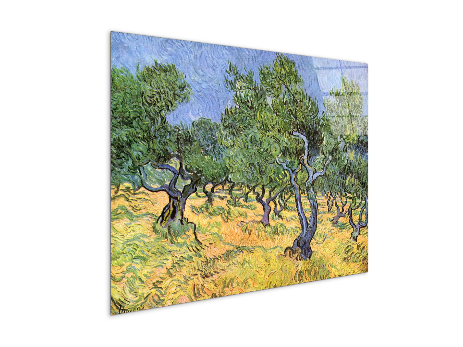 olive-treesas91159-#materiale_CrystalArt/dimensioni_76x57