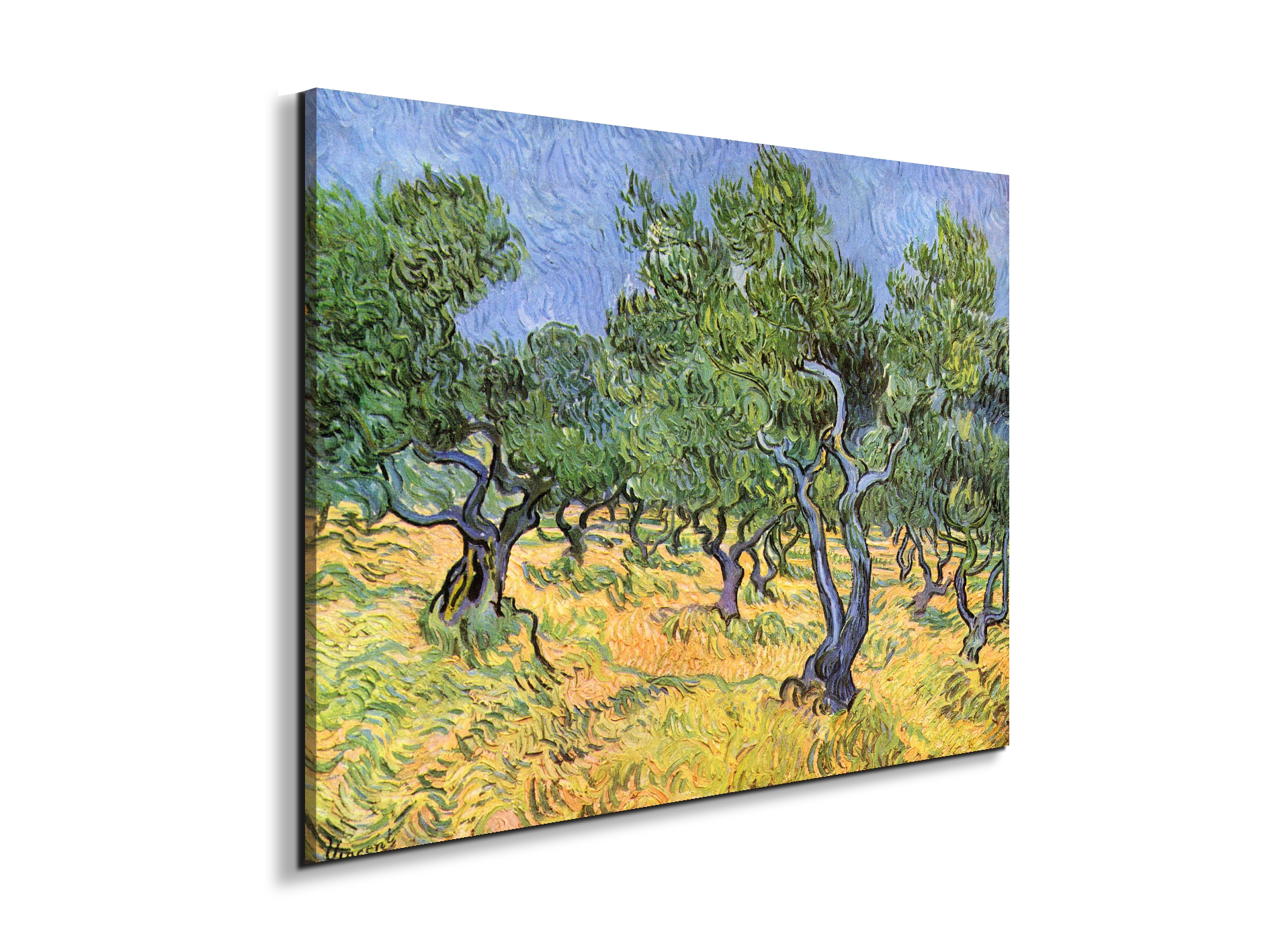 olive-treesas91159-#materiale_EarthArt Materic/dimensioni_76x57