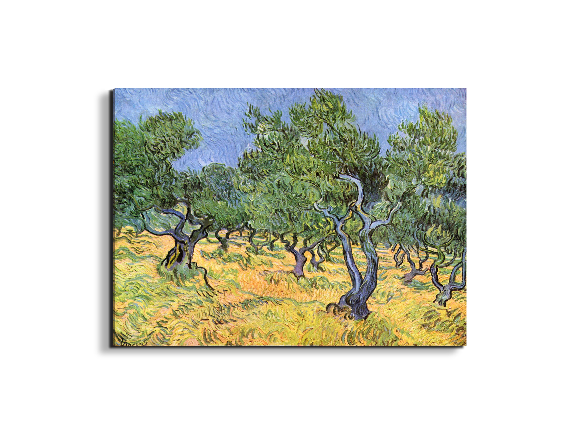 olive-treesas91159-#materiale_EarthArt Materic/dimensioni_76x57