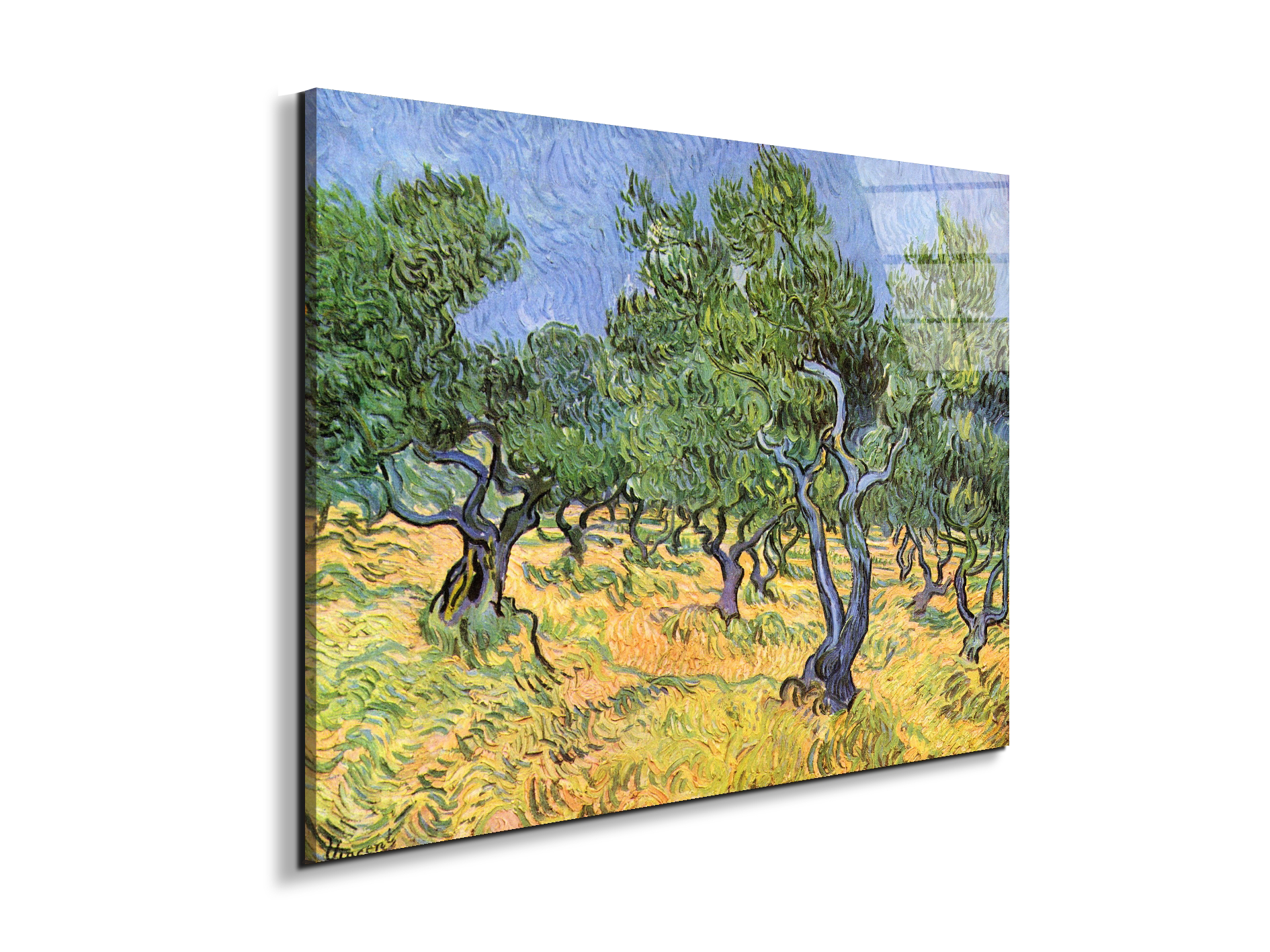 olive-treesas91159-#materiale_EarthArt Total Gloss/dimensioni_76x57