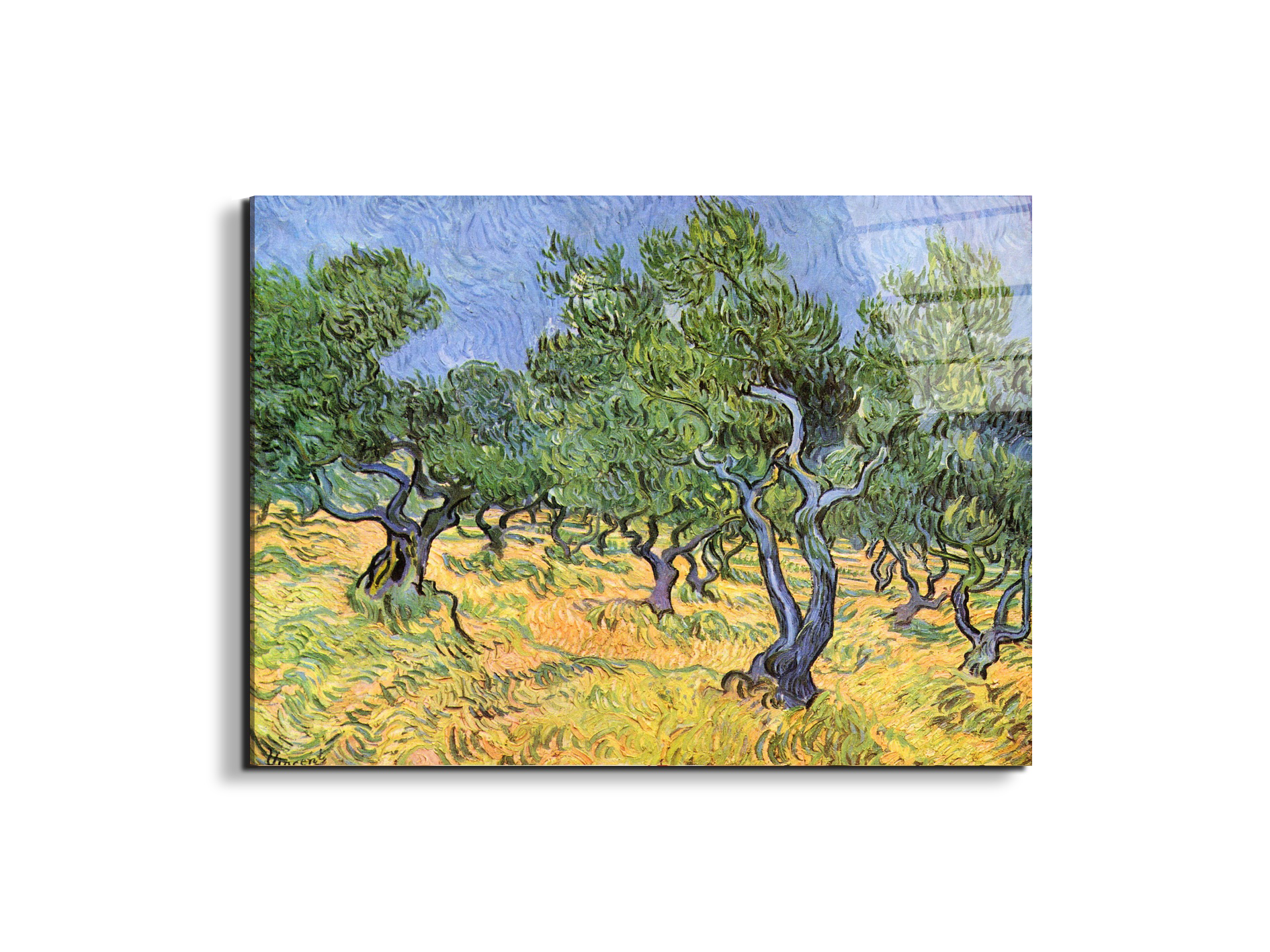 olive-treesas91159-#materiale_EarthArt Total Gloss/dimensioni_76x57