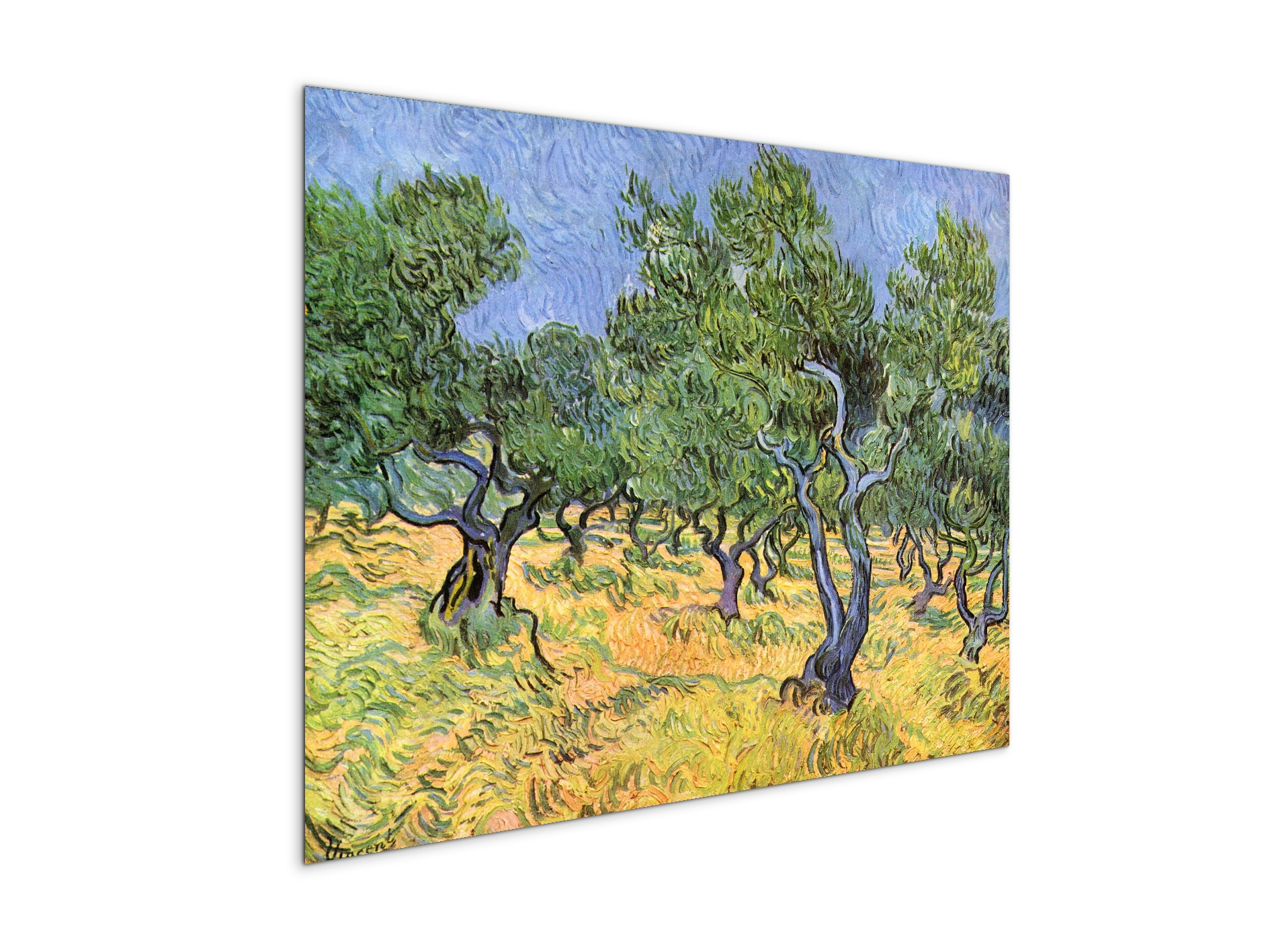 olive-treesas91159-#materiale_MetalArt Materic/dimensioni_76x57
