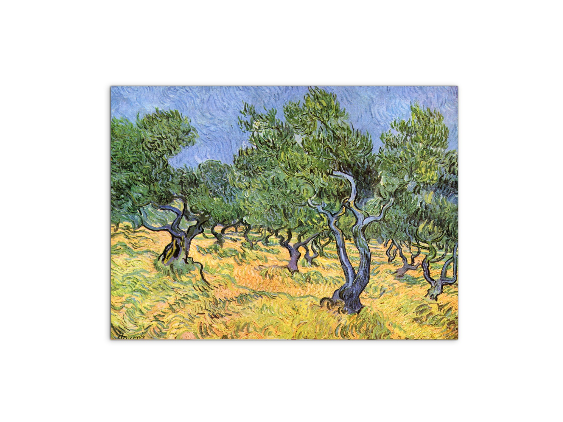 olive-treesas91159-#materiale_MetalArt Materic/dimensioni_76x57