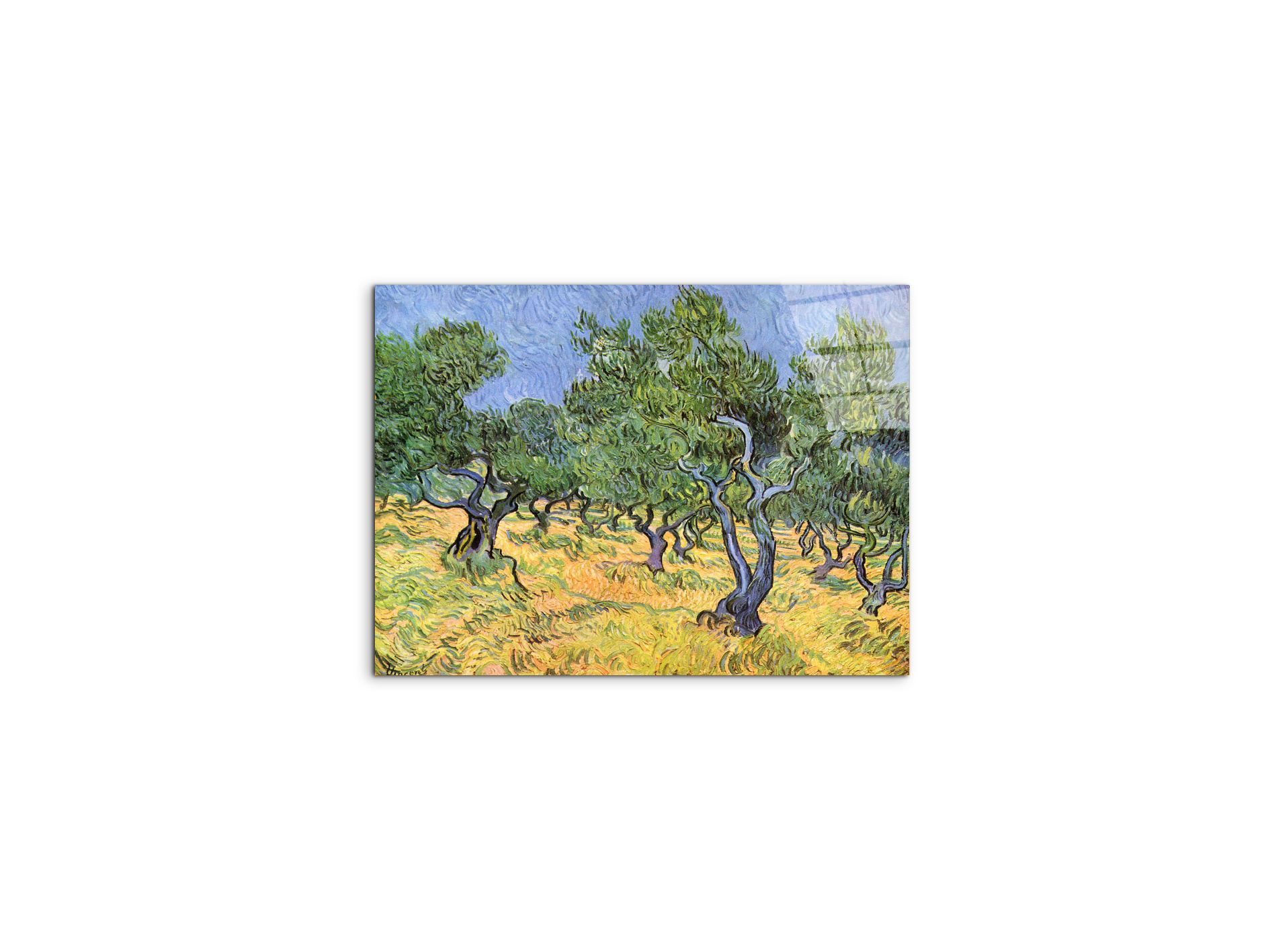 olive-treesas91159-#materiale_CrystalArt/dimensioni_50x37,50