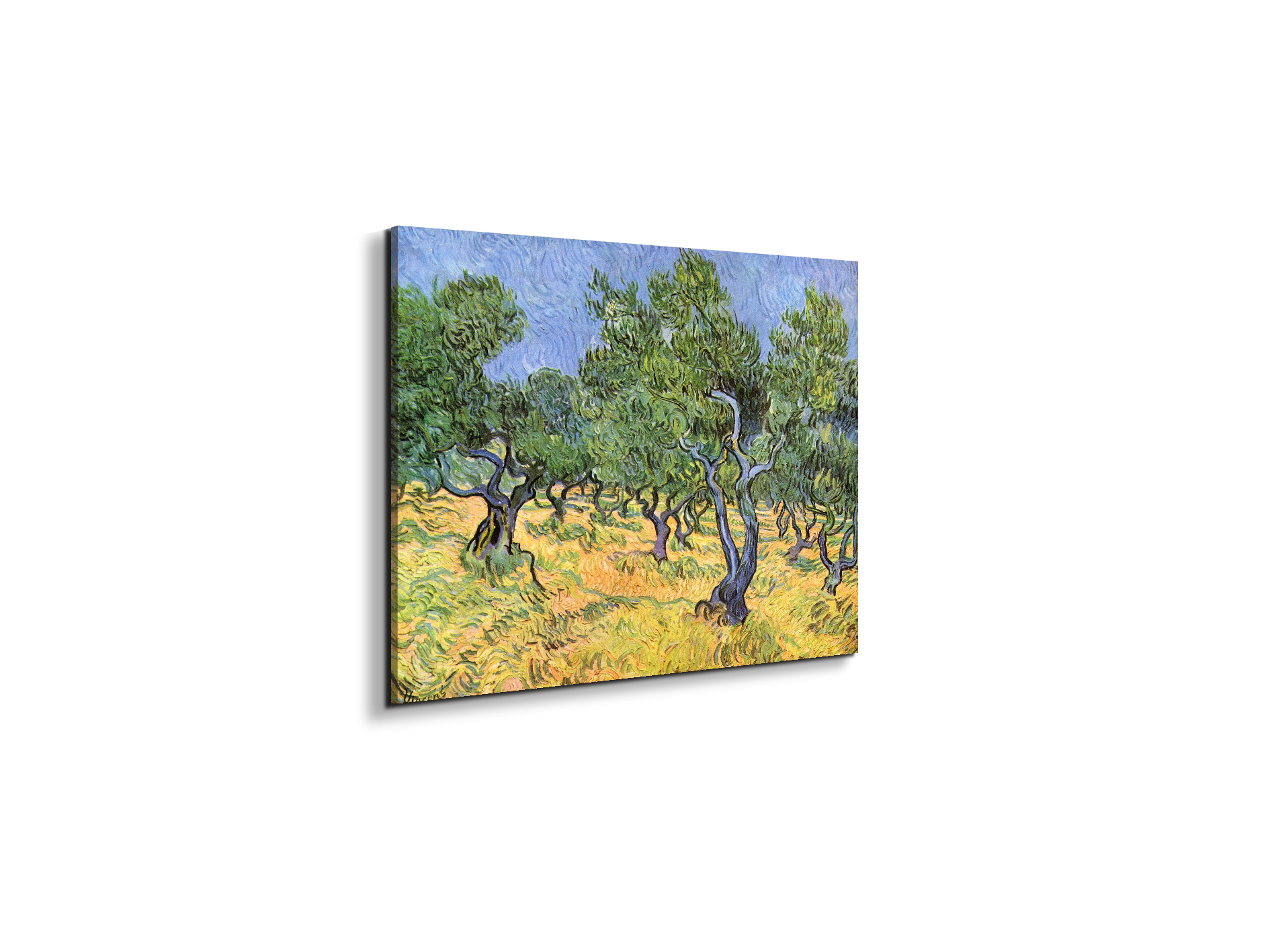 olive-treesas91159-#materiale_EarthArt Materic/dimensioni_50x37,50