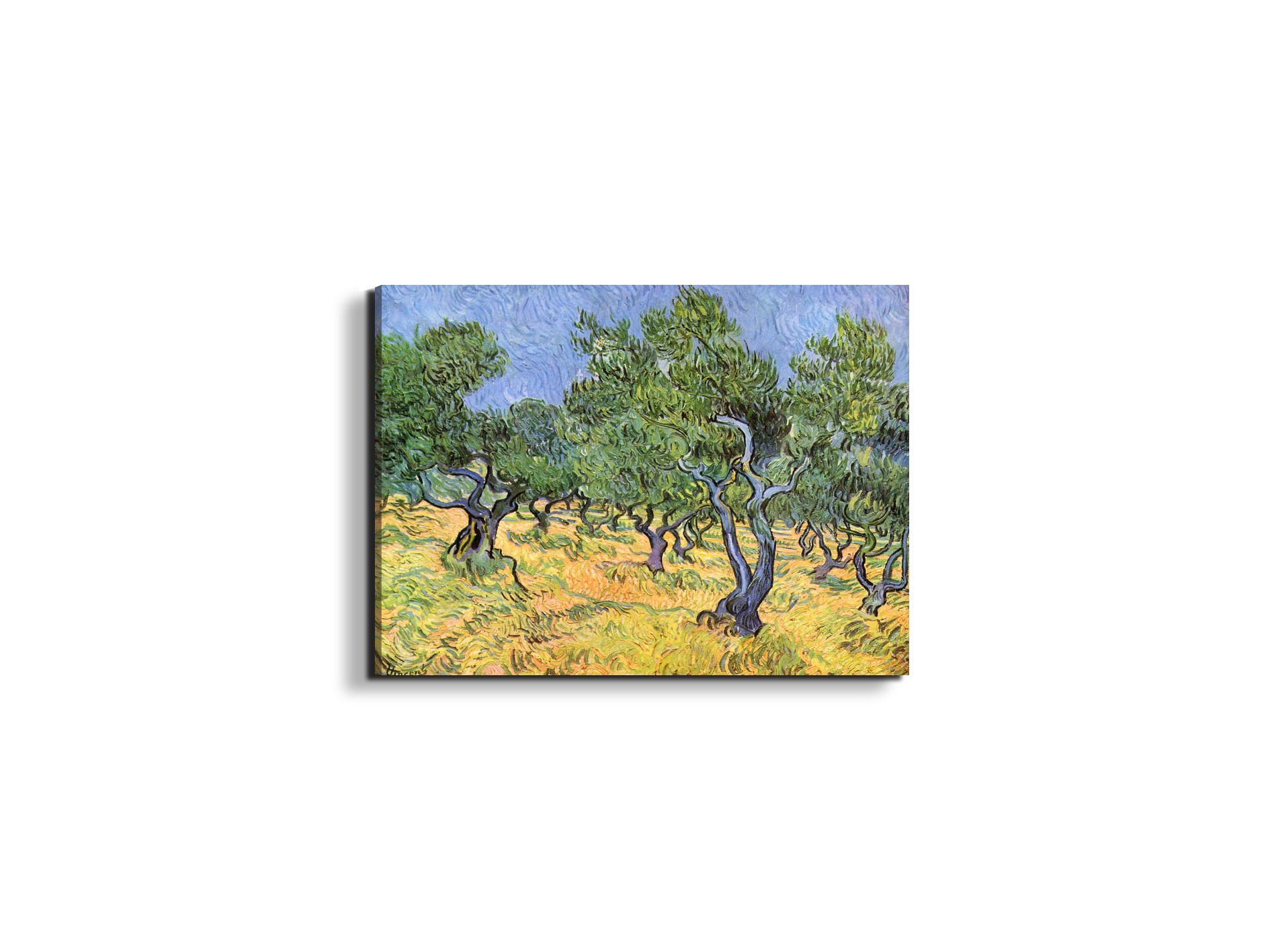 olive-treesas91159-#materiale_EarthArt Materic/dimensioni_50x37,50