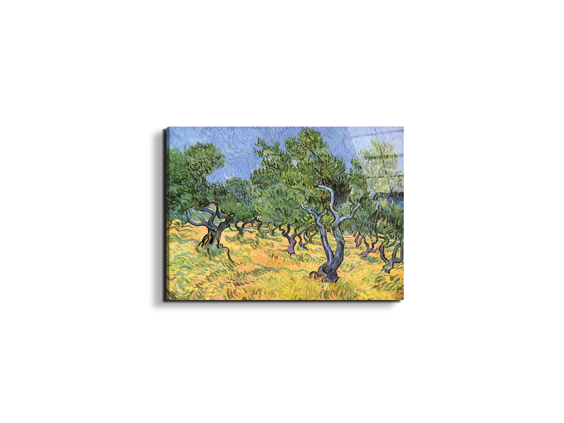 olive-treesas91159-#materiale_EarthArt Total Gloss/dimensioni_50x37,50