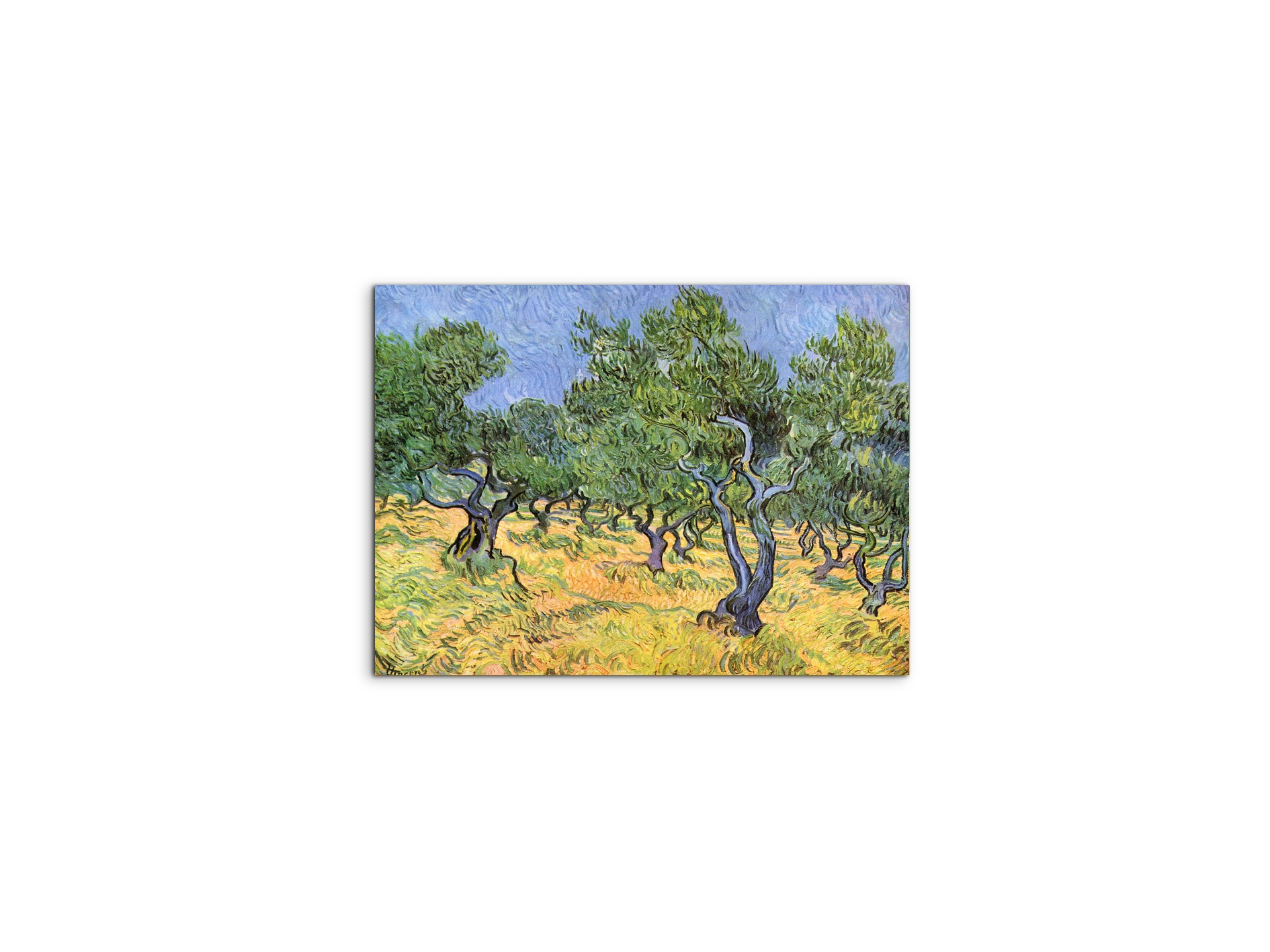 olive-treesas91159-#materiale_MetalArt Materic/dimensioni_50x37,50