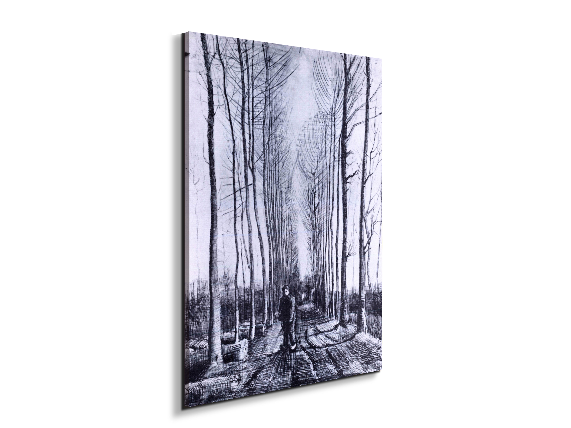 poplar-avenueas91167-#materiale_EarthArt Materic/dimensioni_57x76