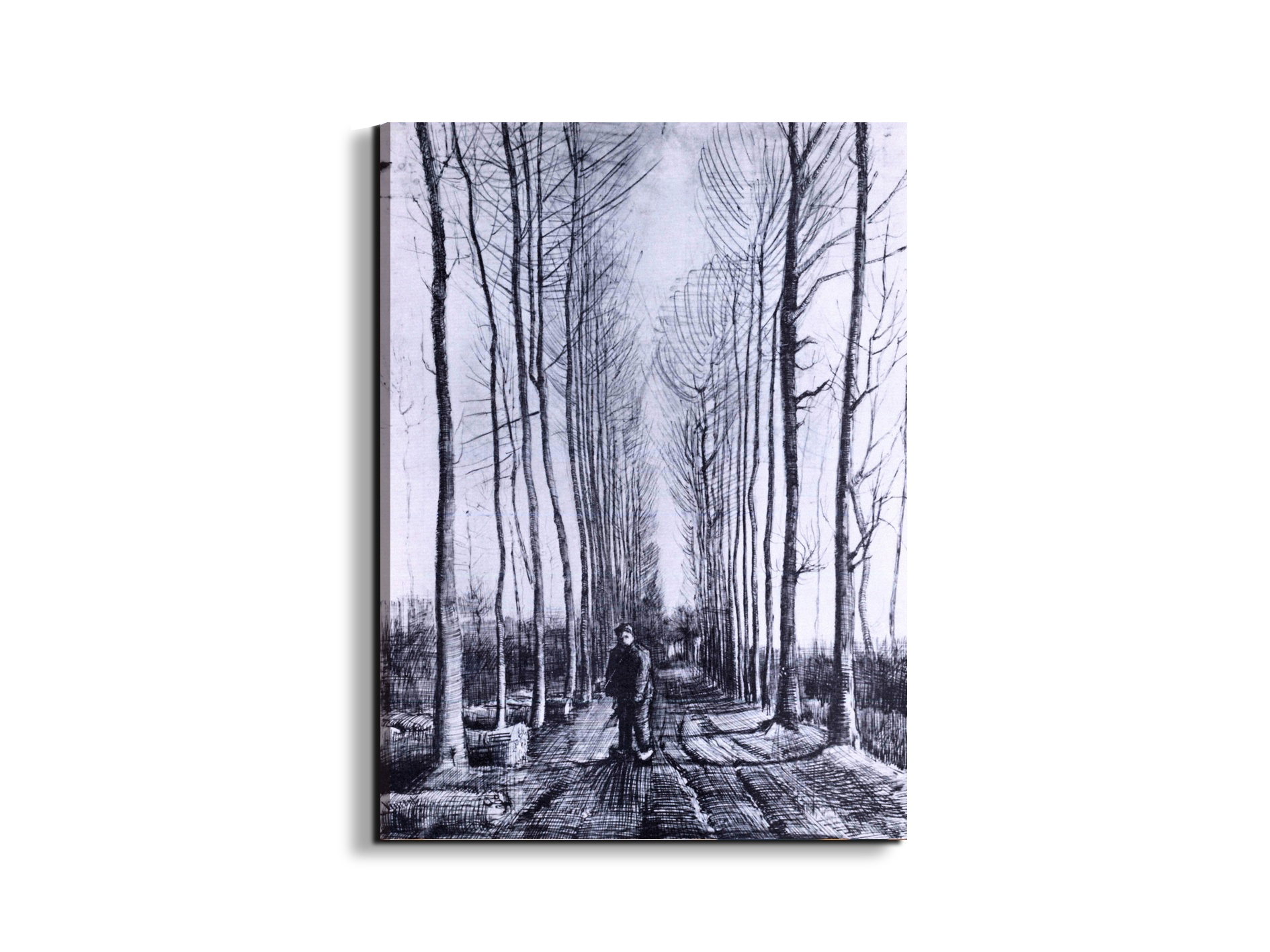 poplar-avenueas91167-#materiale_EarthArt Materic/dimensioni_57x76