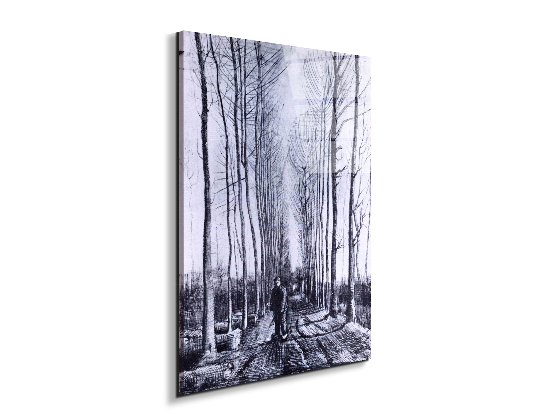 poplar-avenueas91167-#materiale_EarthArt Total Gloss/dimensioni_57x76
