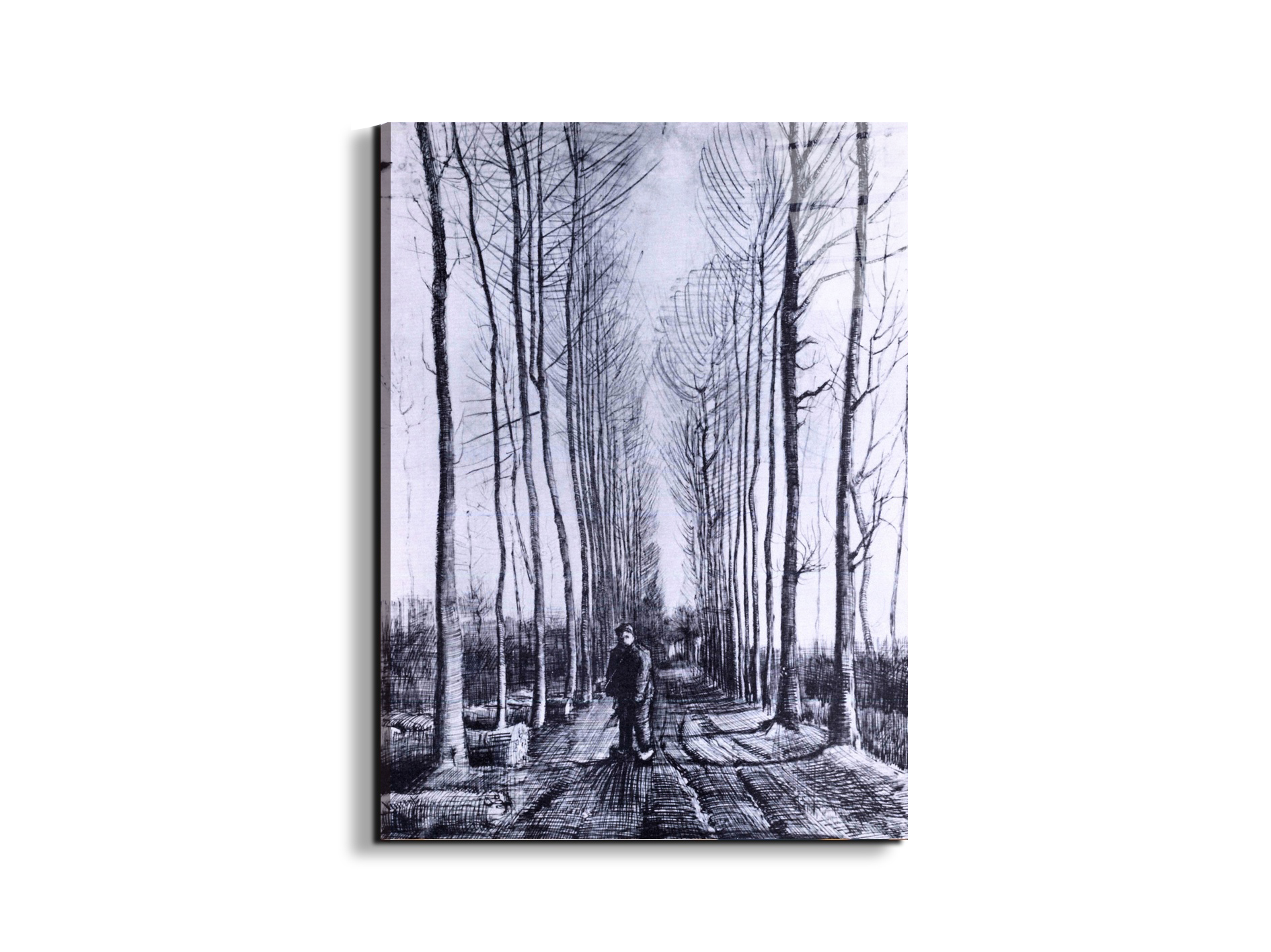 poplar-avenueas91167-#materiale_EarthArt Total Gloss/dimensioni_57x76