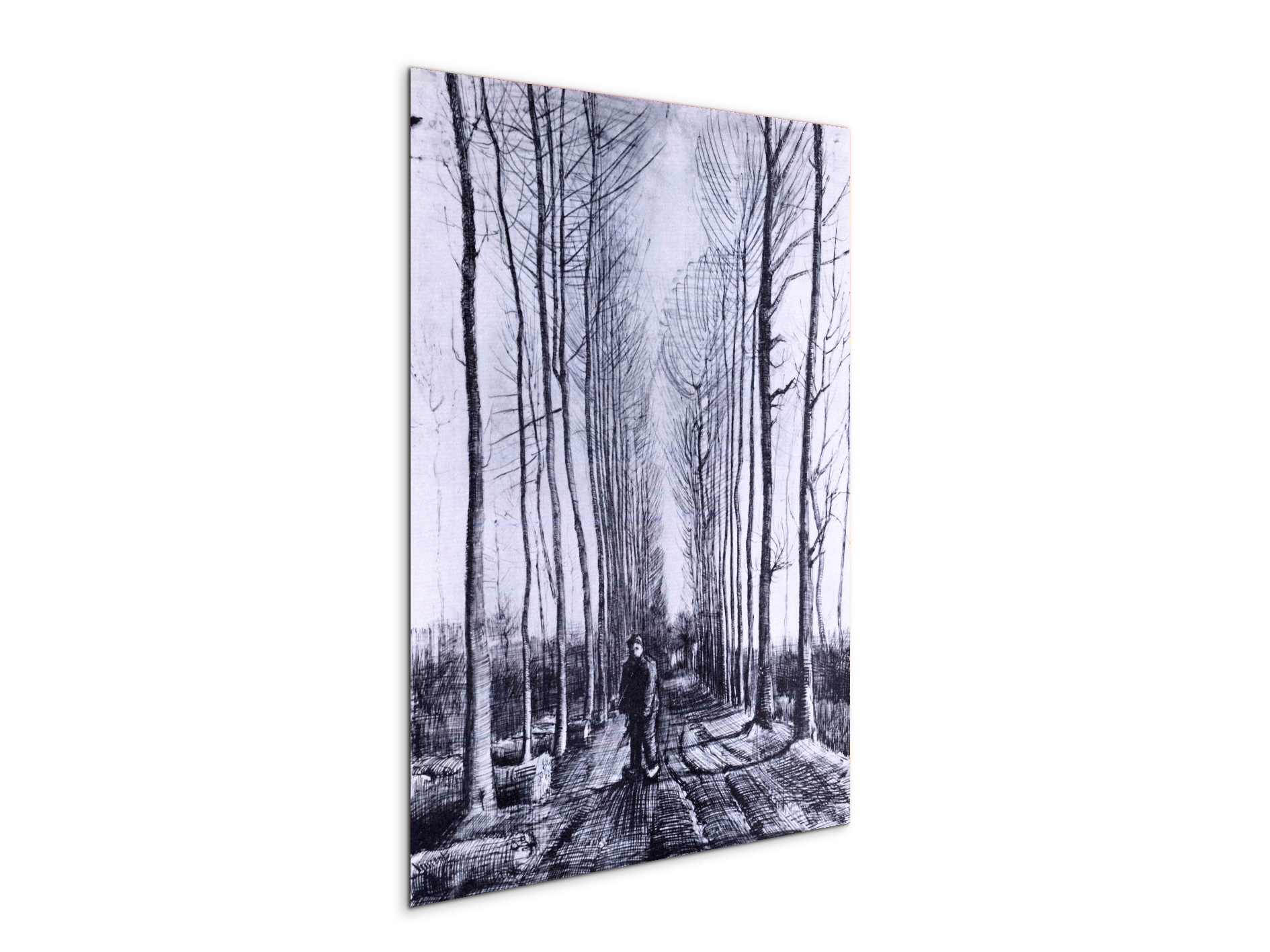 poplar-avenueas91167-#materiale_MetalArt Materic/dimensioni_57x76