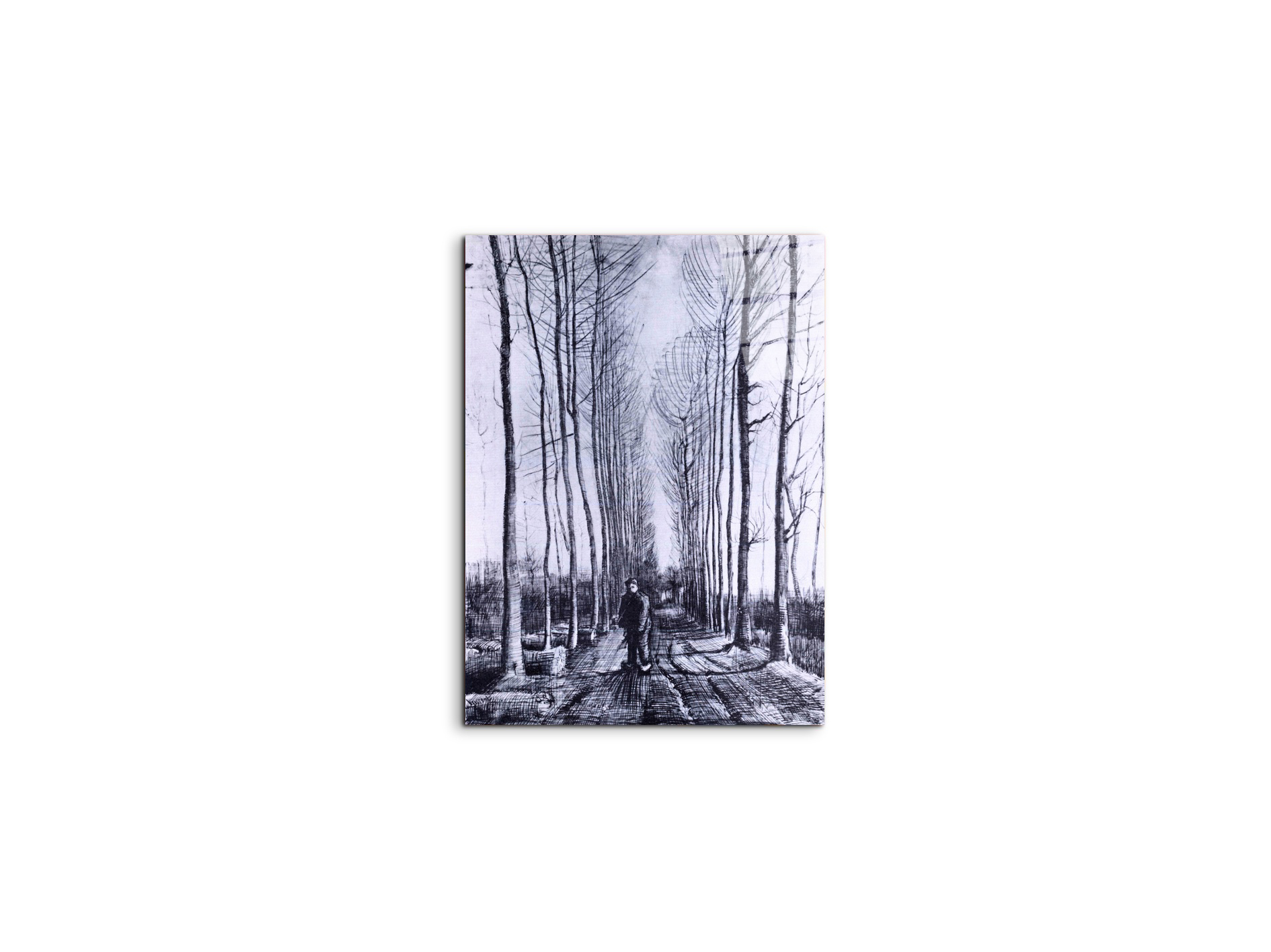 poplar-avenueas91167-#materiale_CrystalArt/dimensioni_37,50x50