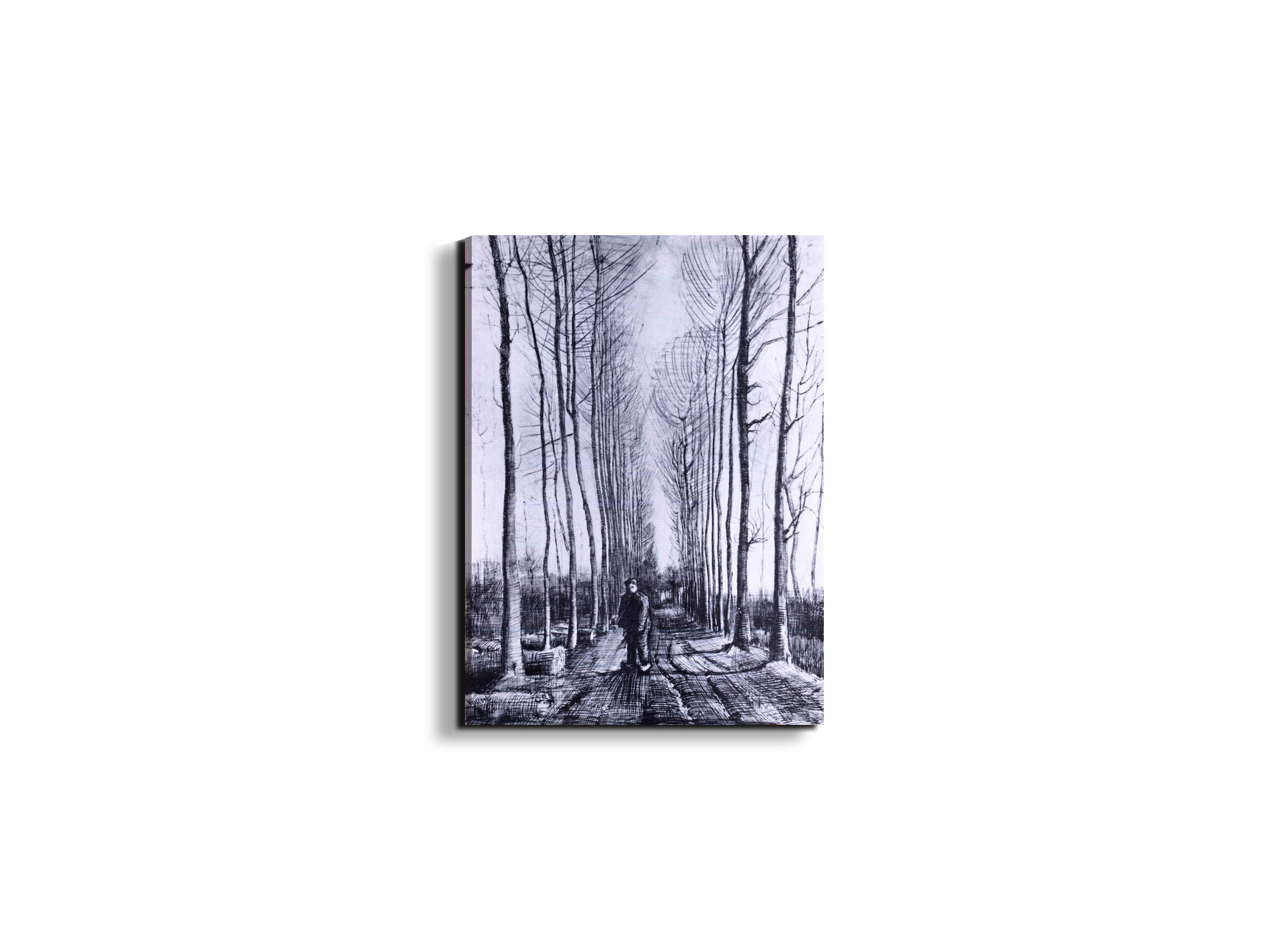 poplar-avenueas91167-#materiale_EarthArt/dimensioni_37,50x50