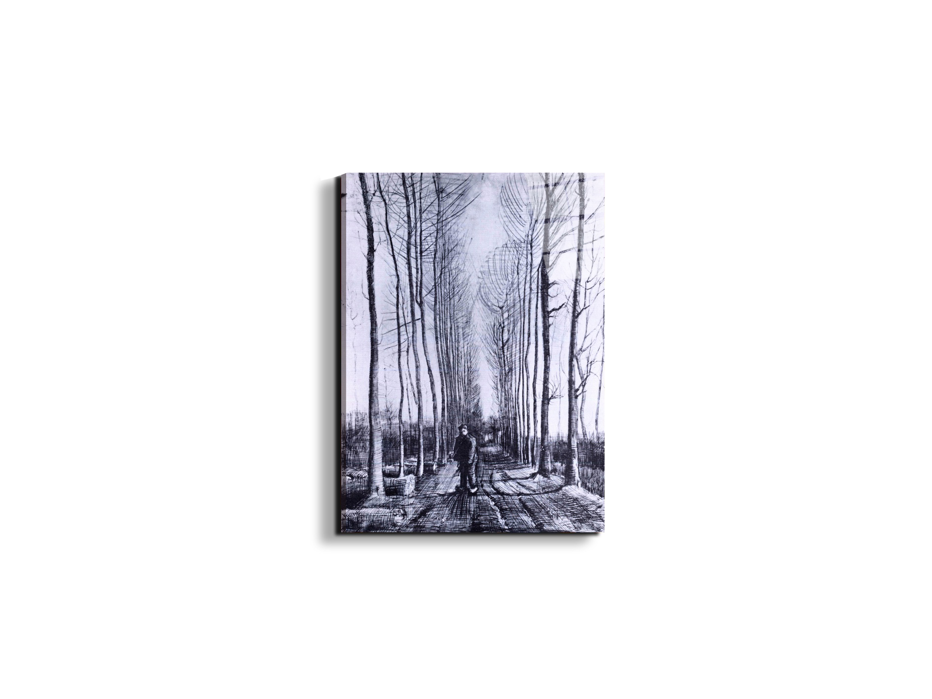 poplar-avenueas91167-#materiale_EarthArt Total Gloss/dimensioni_37,50x50