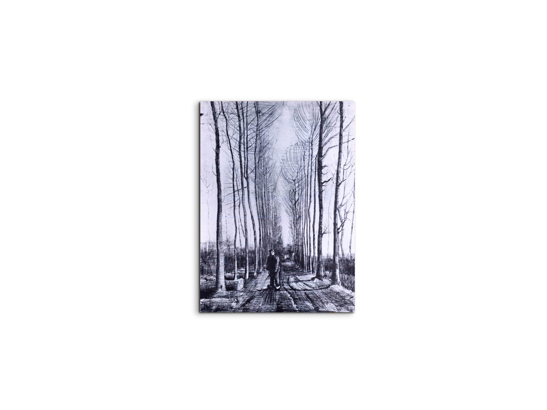 poplar-avenueas91167-#materiale_MetalArt Materic/dimensioni_37,50x50