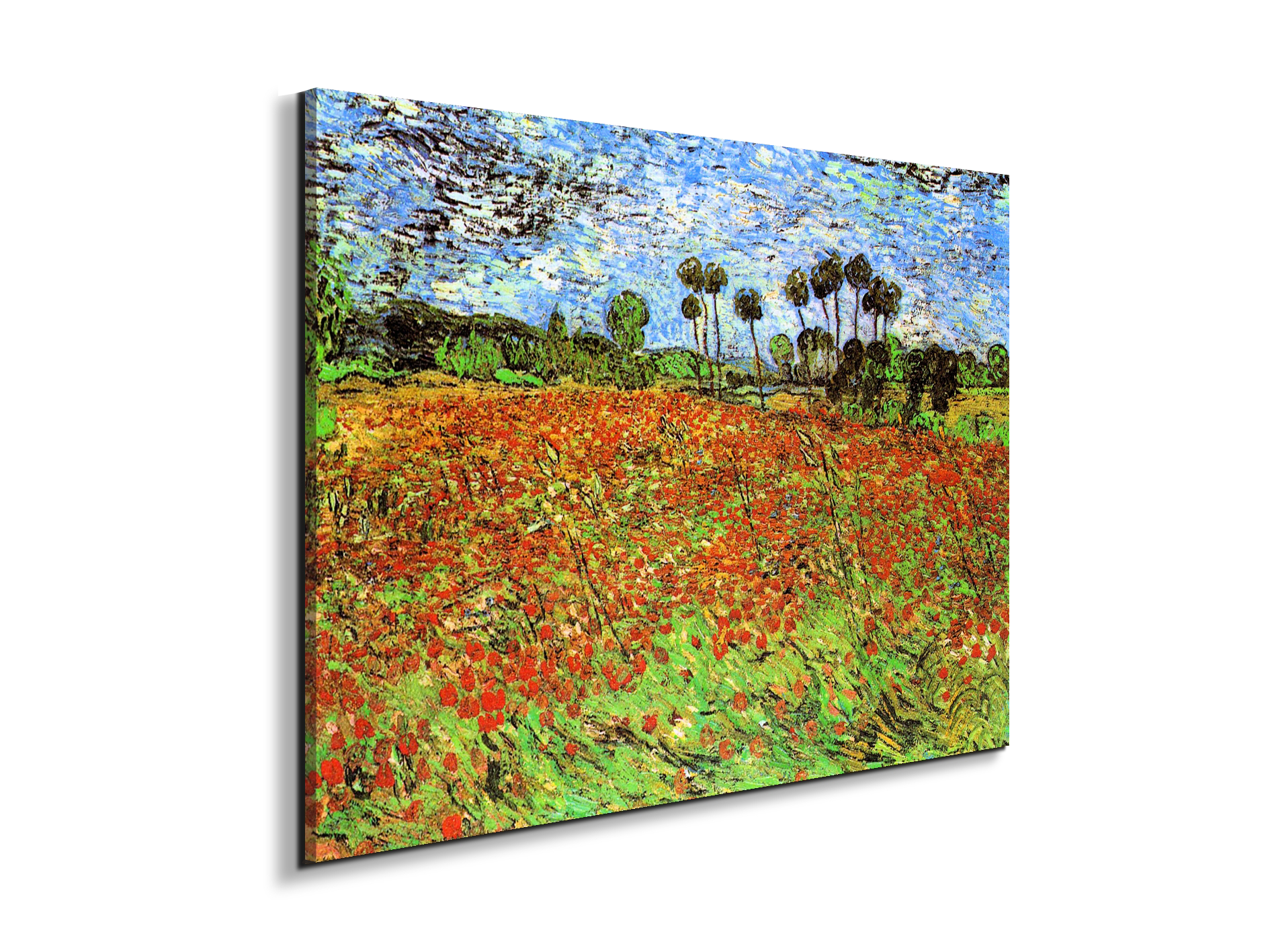 poppy-fieldsas91169-#materiale_EarthArt Materic/dimensioni_76x57