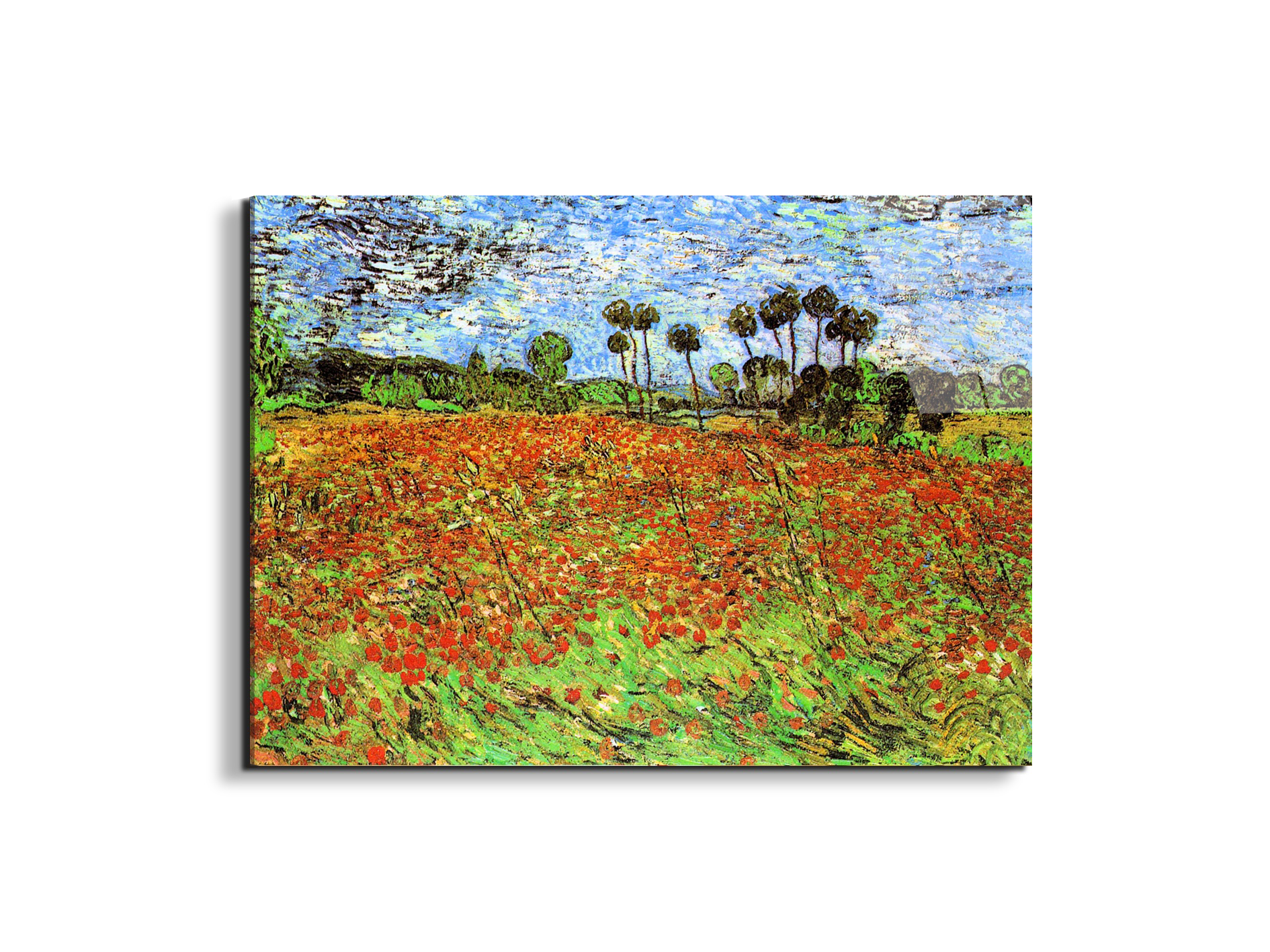 poppy-fieldsas91169-#materiale_EarthArt Total Gloss/dimensioni_76x57