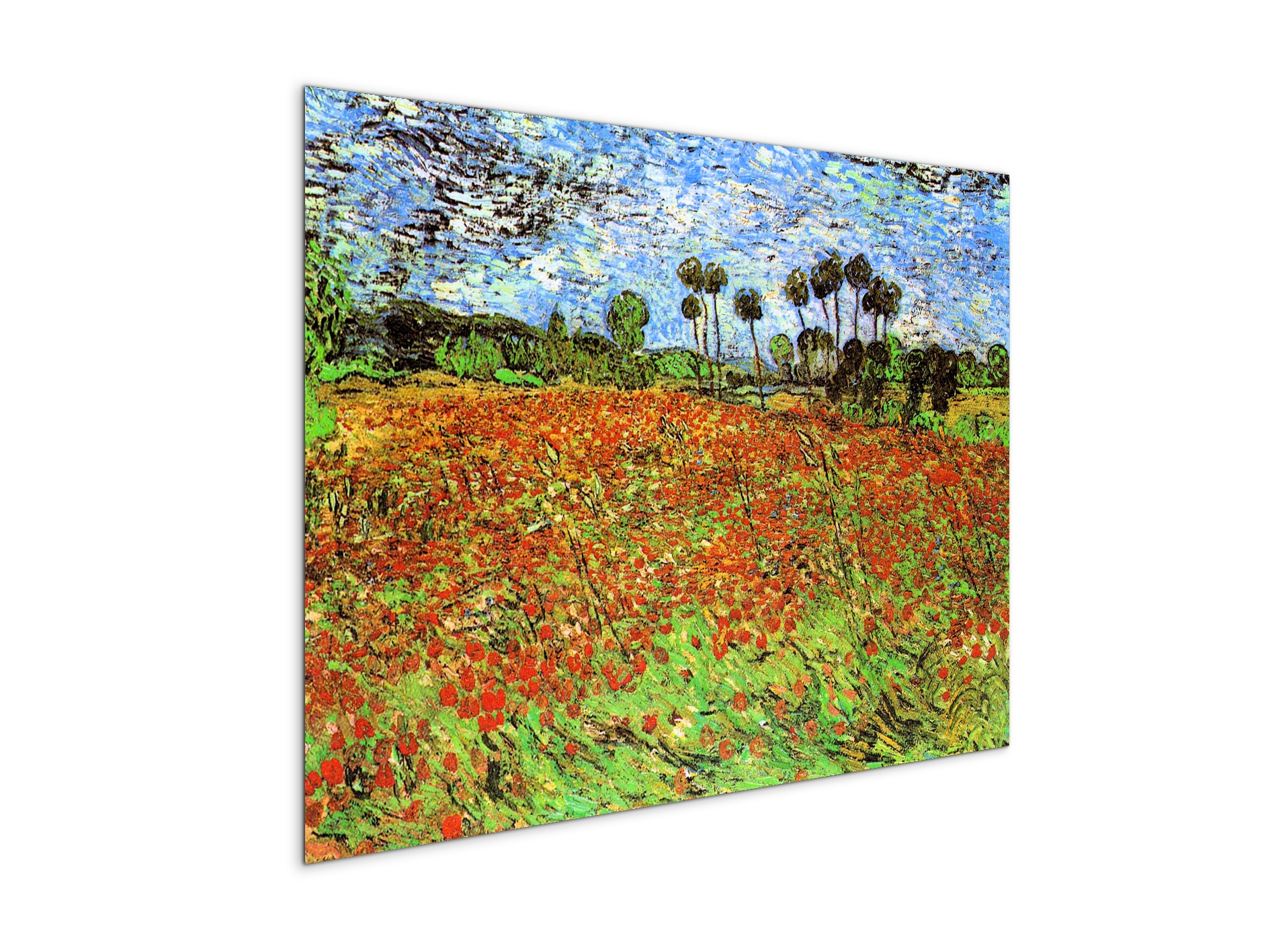 poppy-fieldsas91169-#materiale_MetalArt Materic/dimensioni_76x57