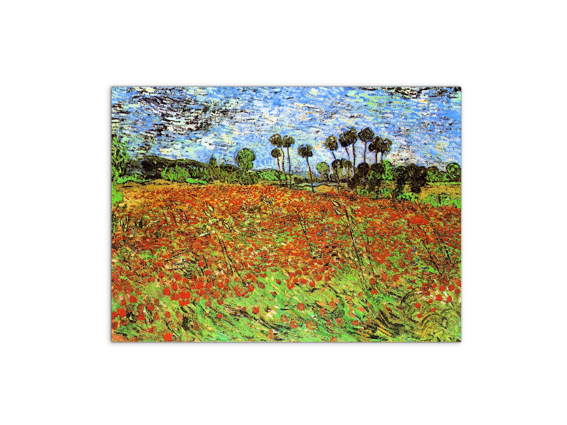 poppy-fieldsas91169-#materiale_MetalArt Materic/dimensioni_76x57