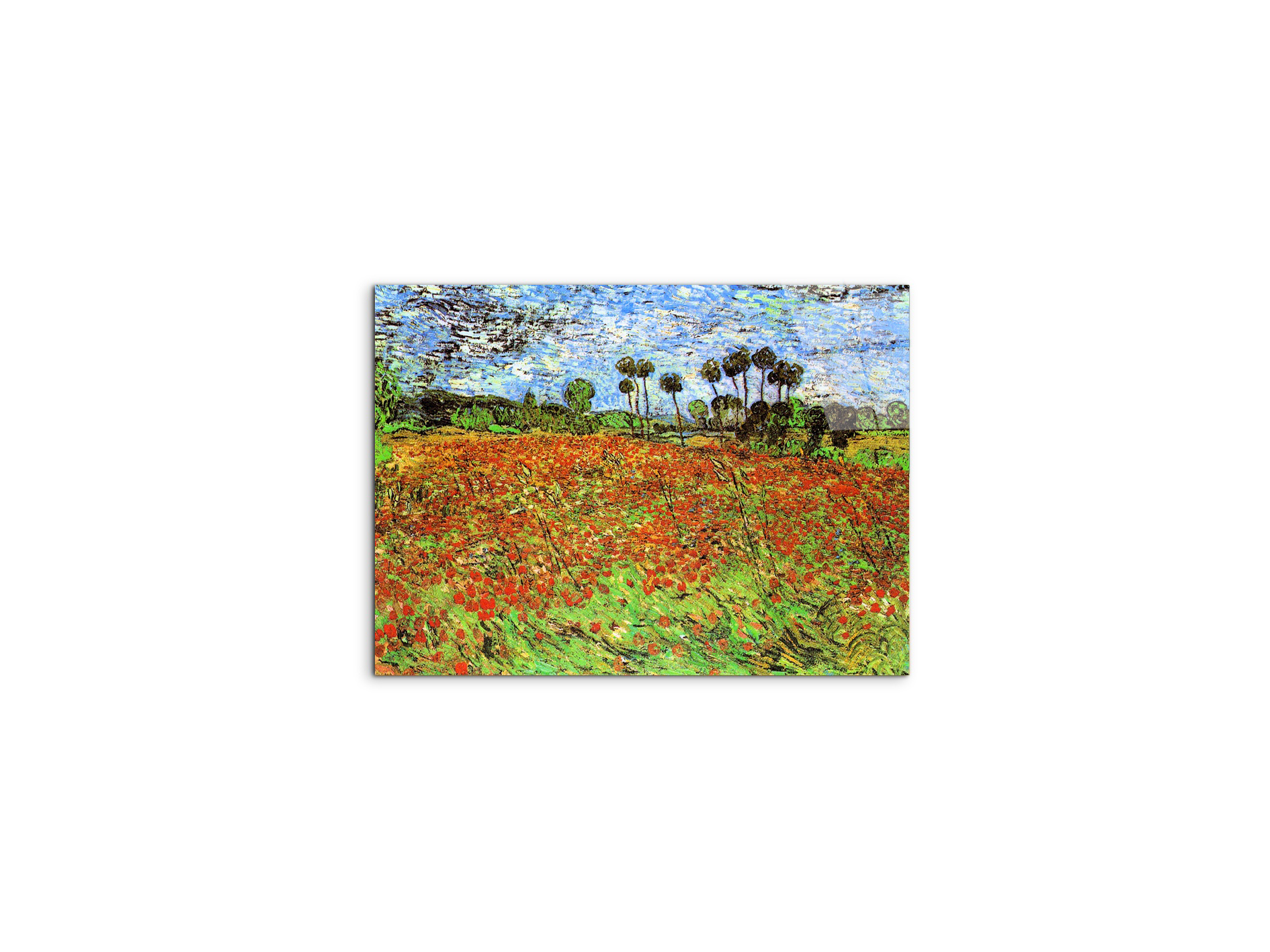 poppy-fieldsas91169-#materiale_CrystalArt/dimensioni_50x37,50