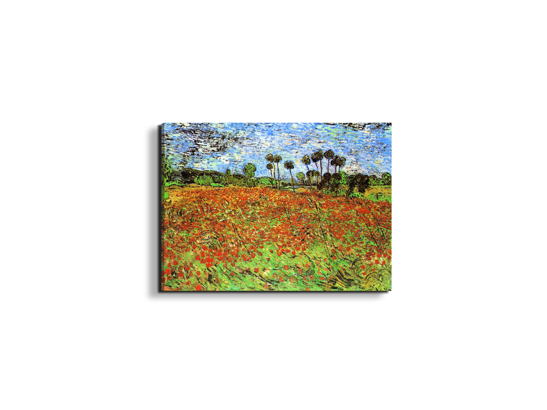 poppy-fieldsas91169-#materiale_EarthArt Materic/dimensioni_50x37,50