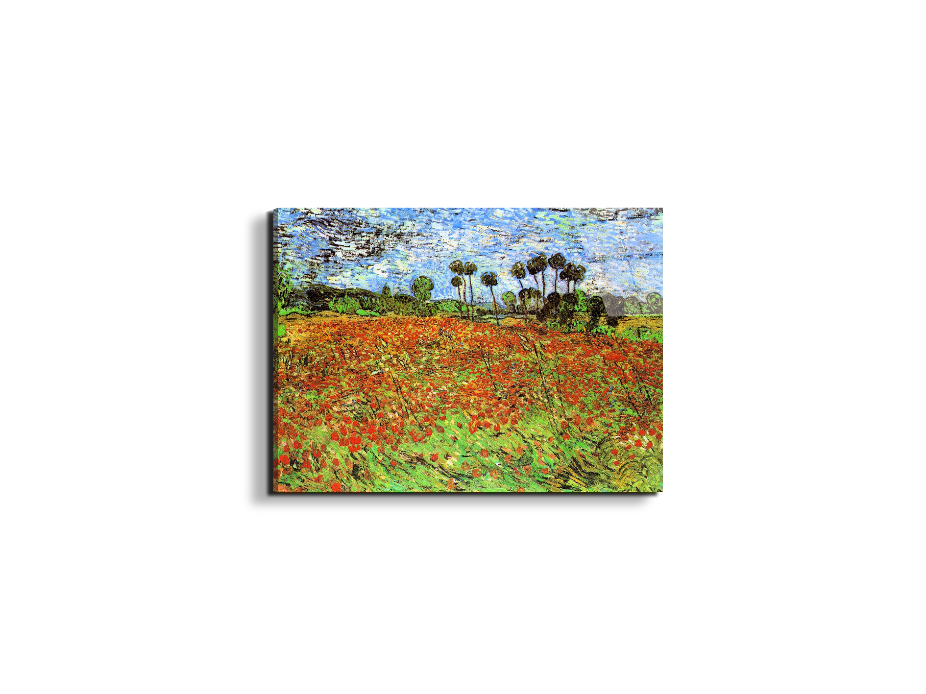 poppy-fieldsas91169-#materiale_EarthArt Total Gloss/dimensioni_50x37,50