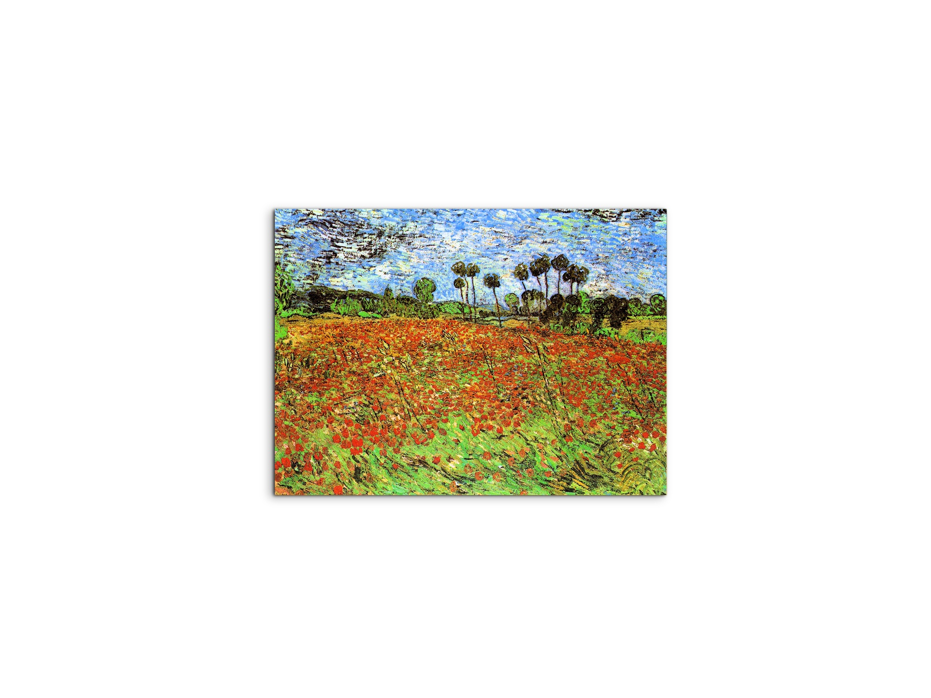 poppy-fieldsas91169-#materiale_MetalArt Materic/dimensioni_50x37,50