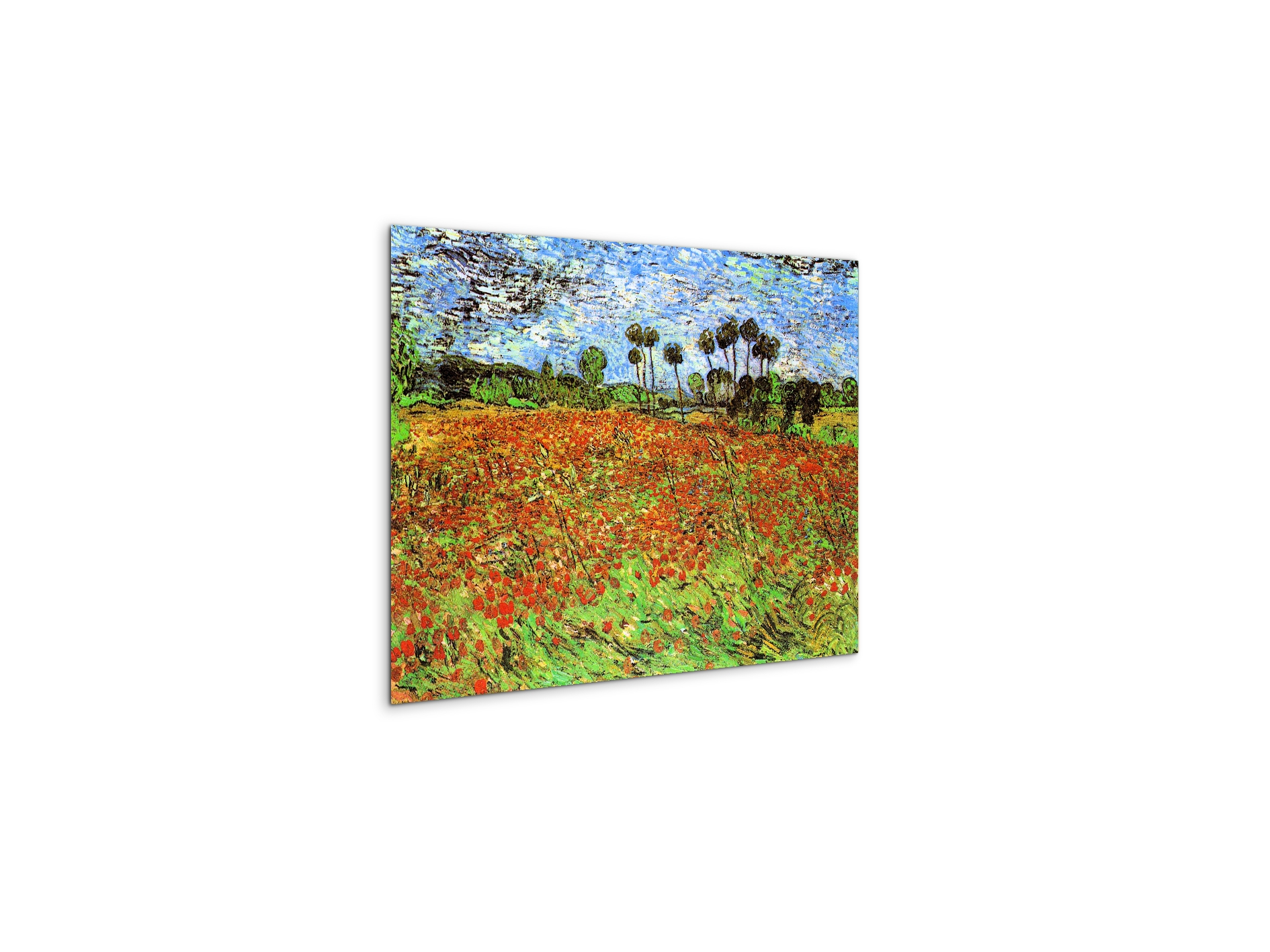 poppy-fieldsas91169-#materiale_MetalArt Materic/dimensioni_50x37,50