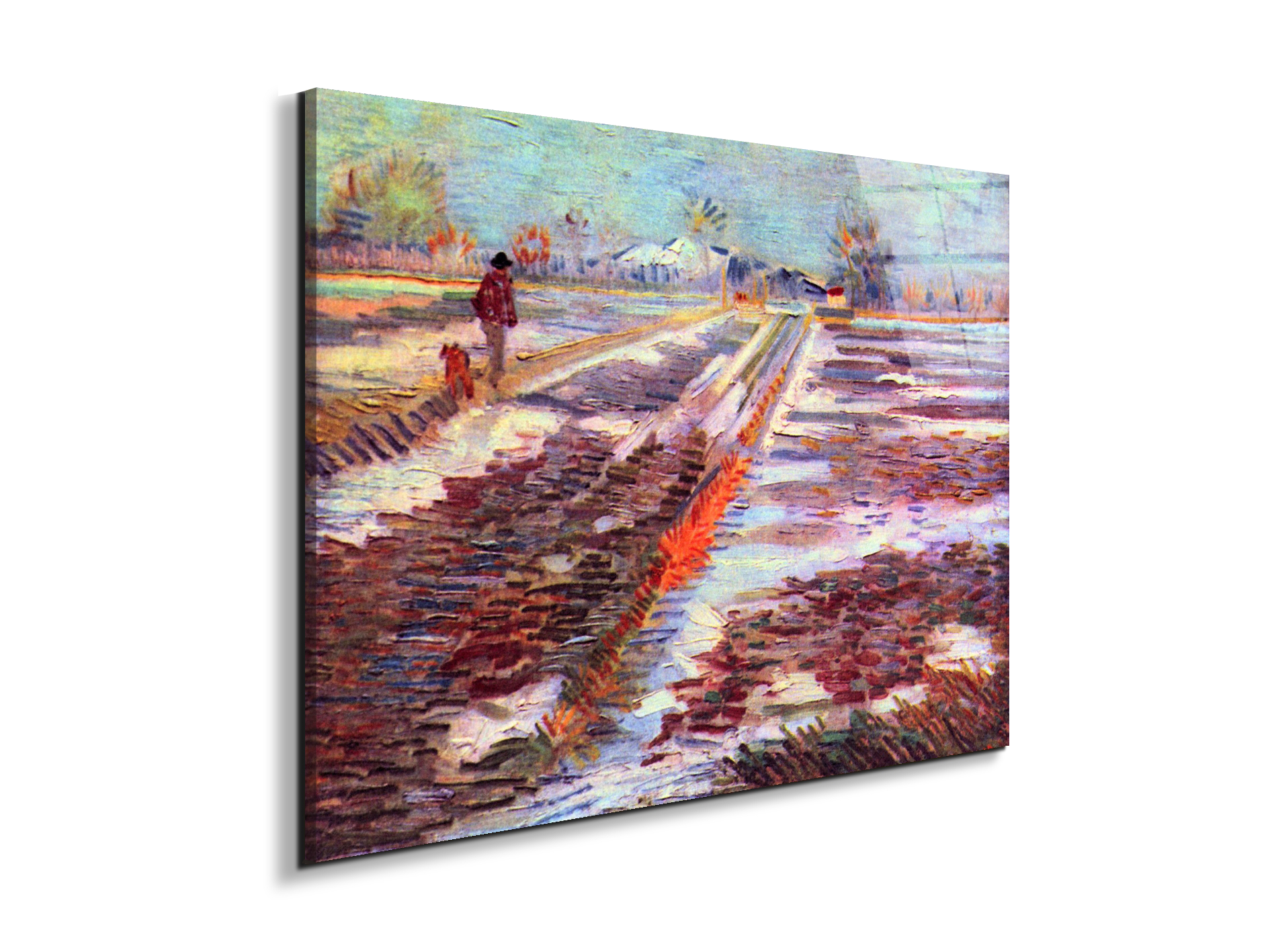 snowy-fields-in-arlesas91189-