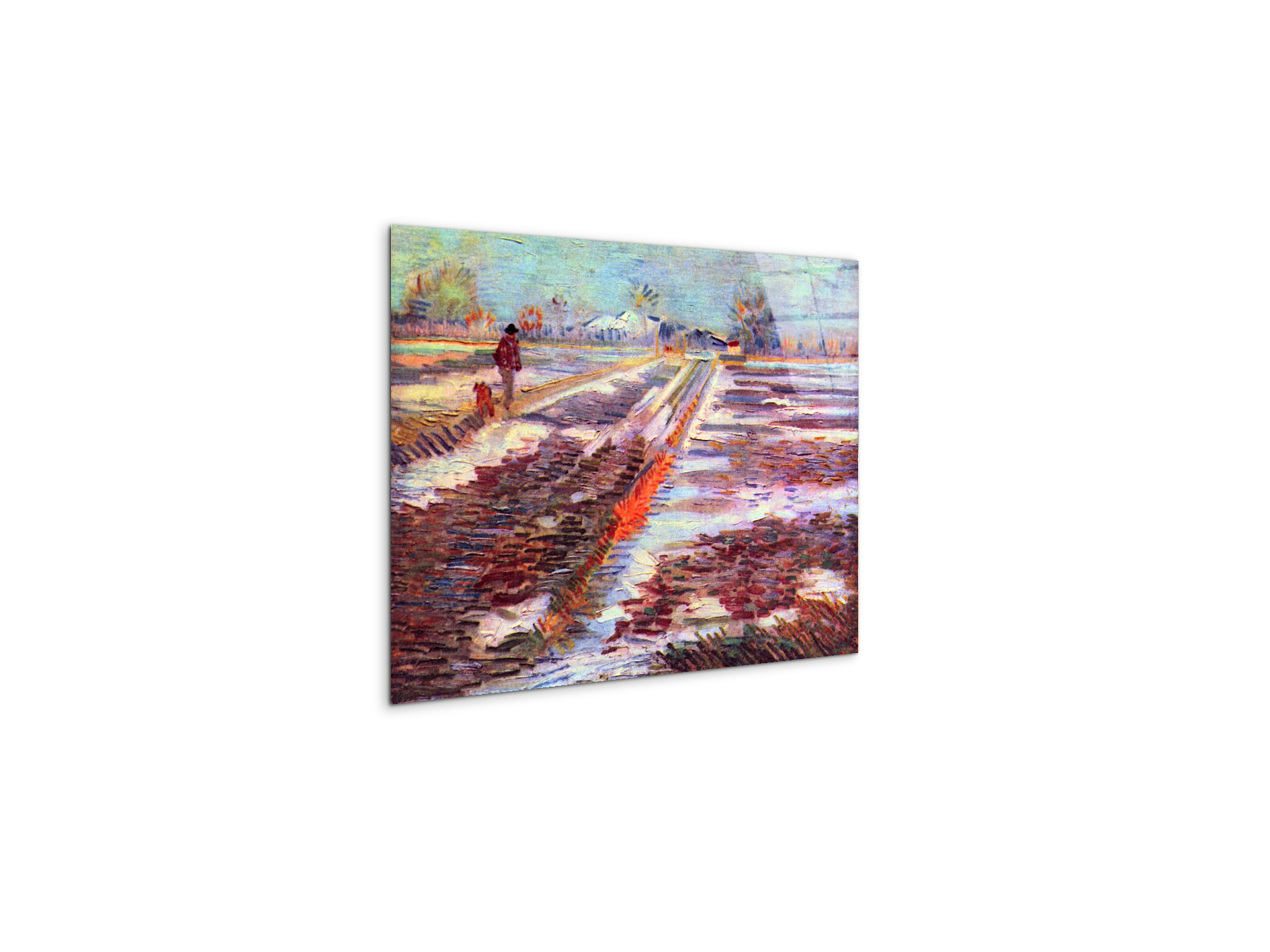 snowy-fields-in-arlesas91189-
