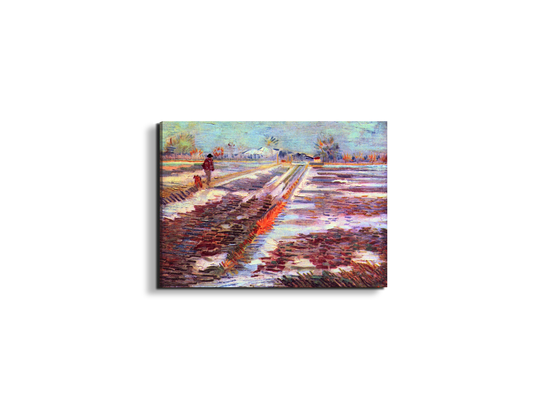 snowy-fields-in-arlesas91189-