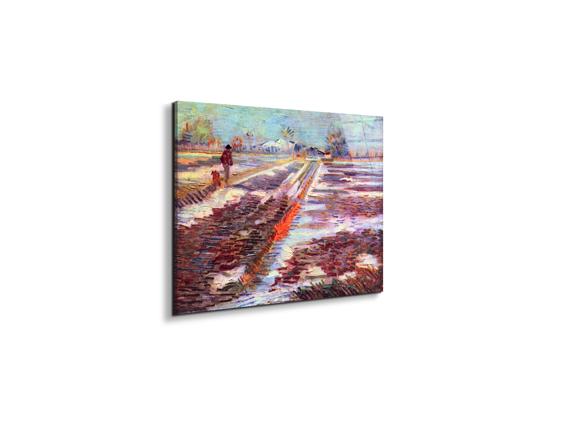 snowy-fields-in-arlesas91189-