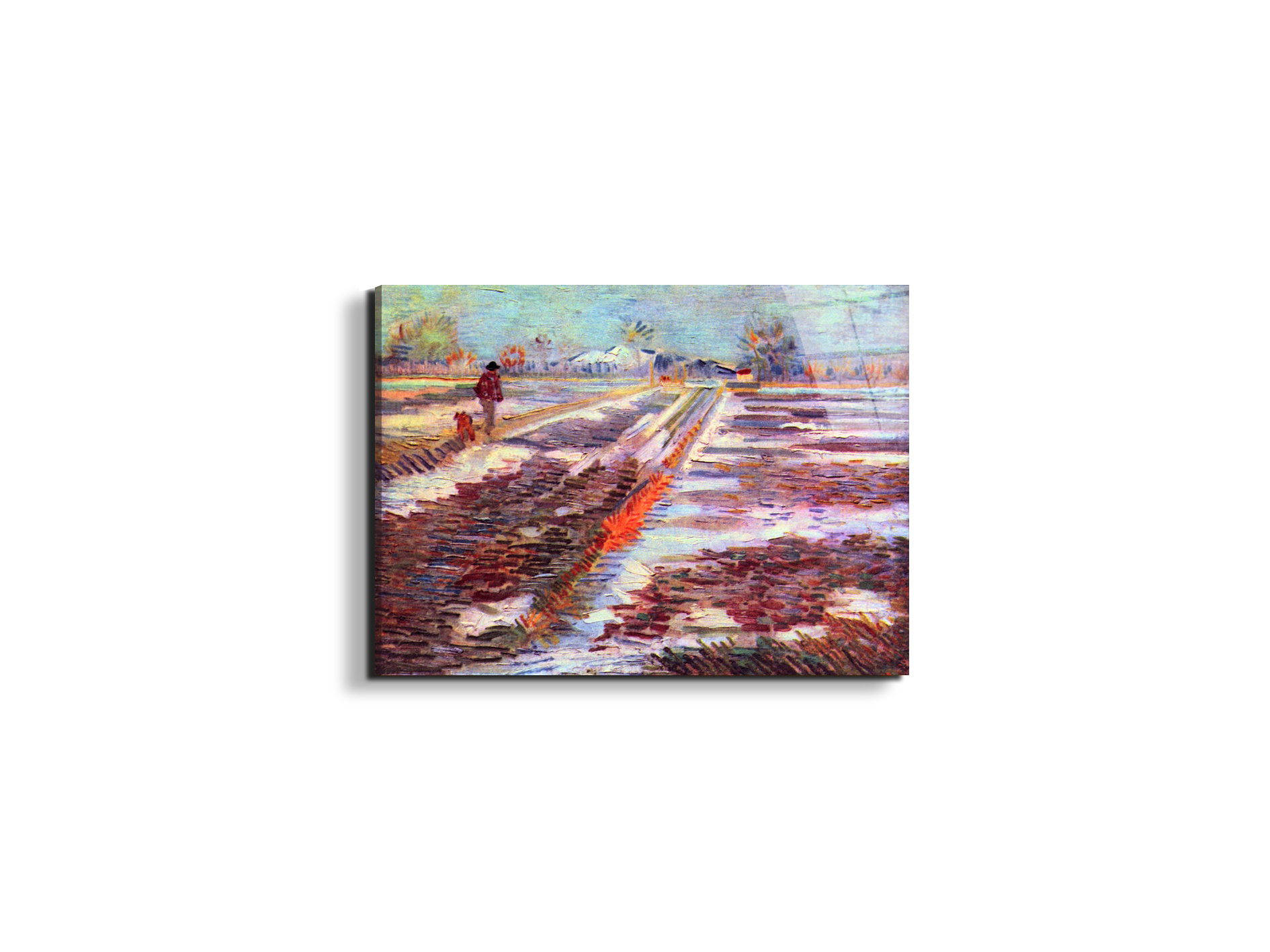snowy-fields-in-arlesas91189-