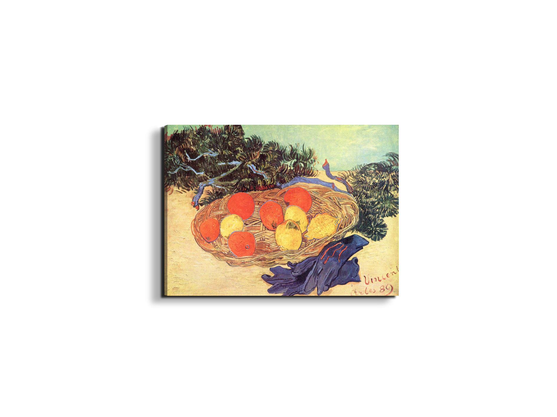 still-life-with-oranges-lemons-and-blue-glovesas91211-#materiale_EarthArt/dimensioni_50x37,50