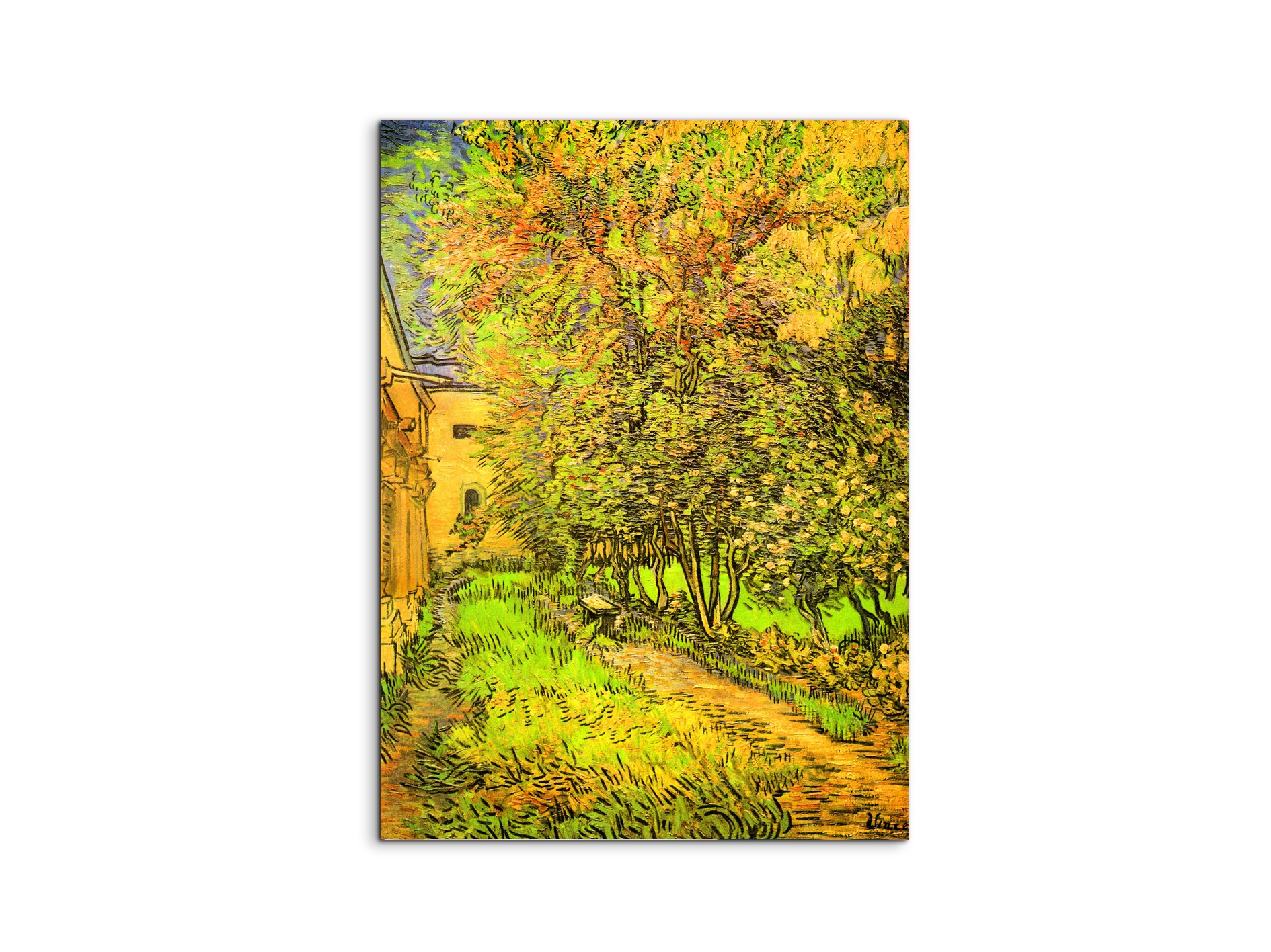 the-garden-of-the-clinic-of-saint-remyas91259-#materiale_MetalArt Materic/dimensioni_57x76