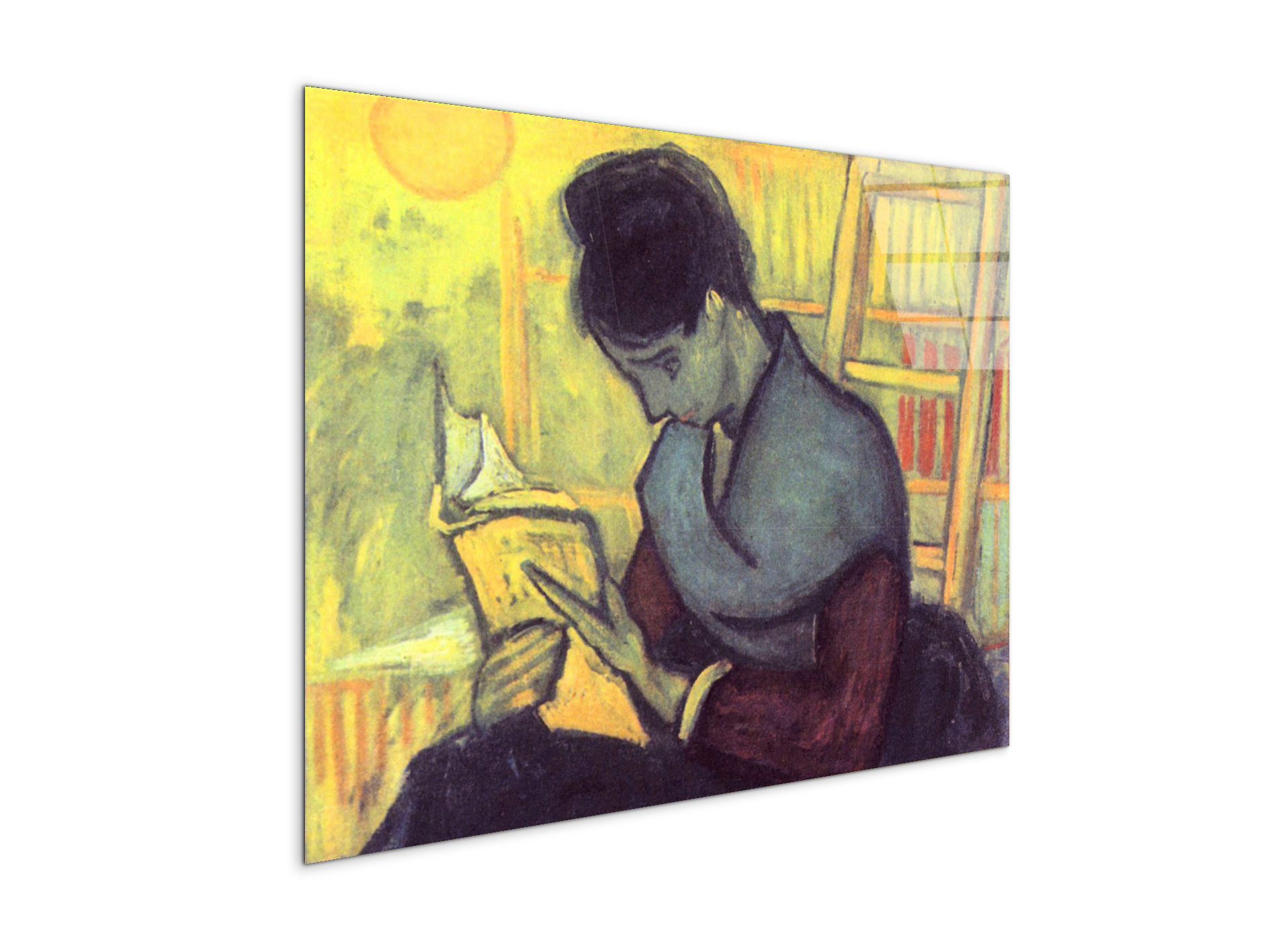 the-novel-reader-as91273-