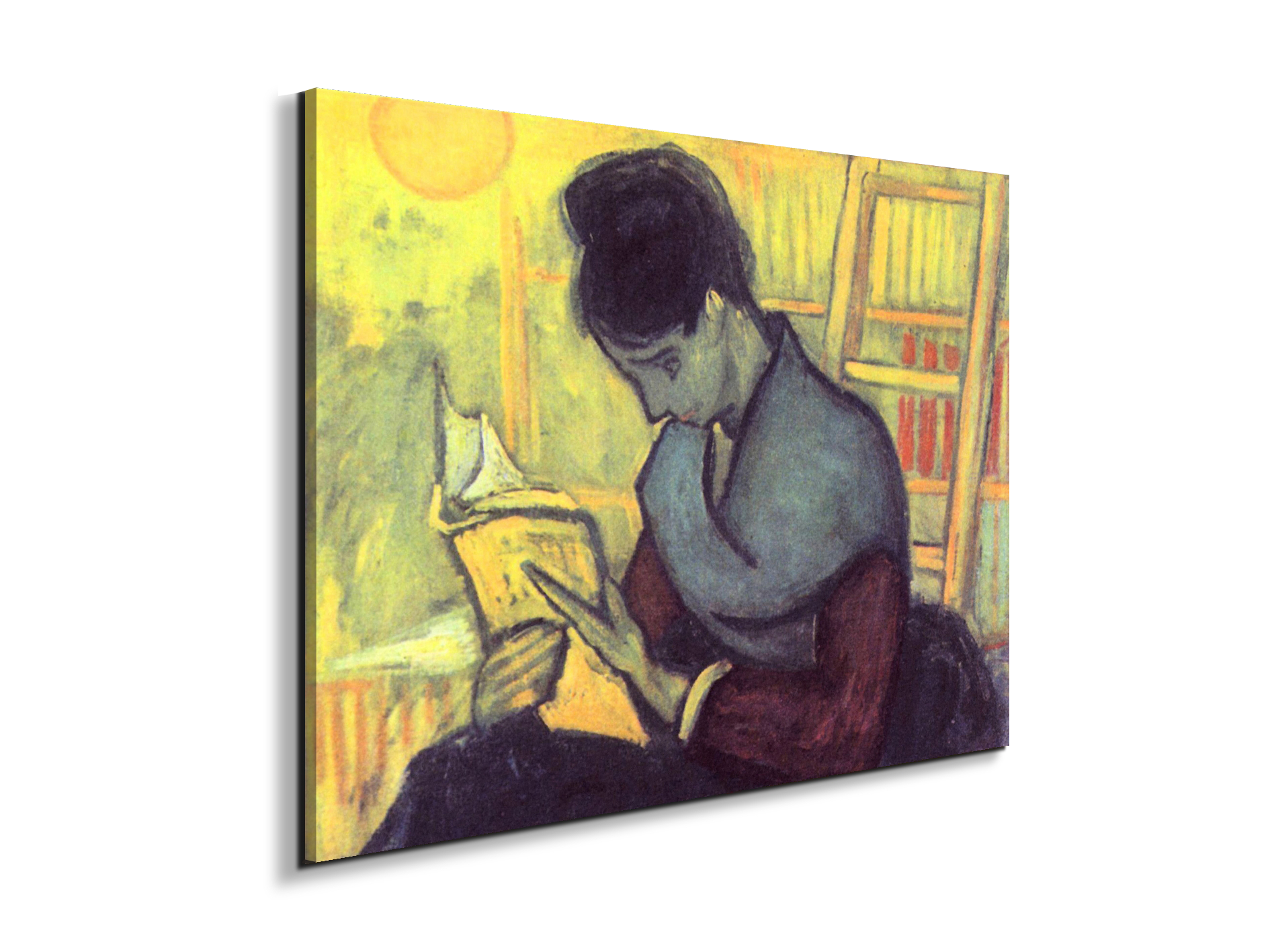 the-novel-reader-as91273-