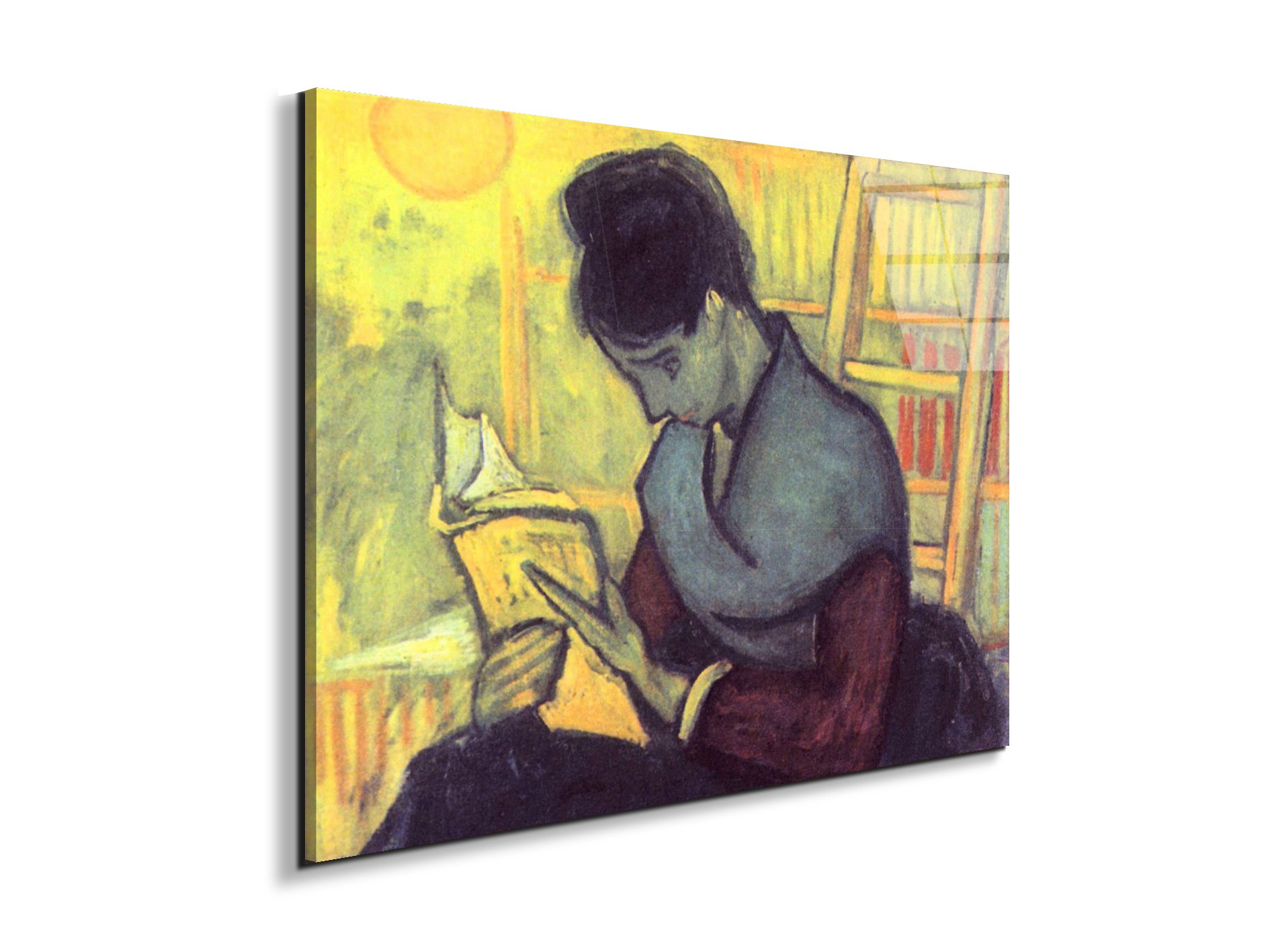 the-novel-reader-as91273-