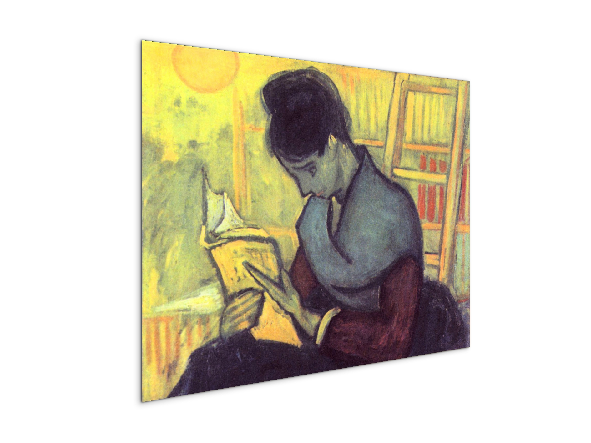 the-novel-reader-as91273-